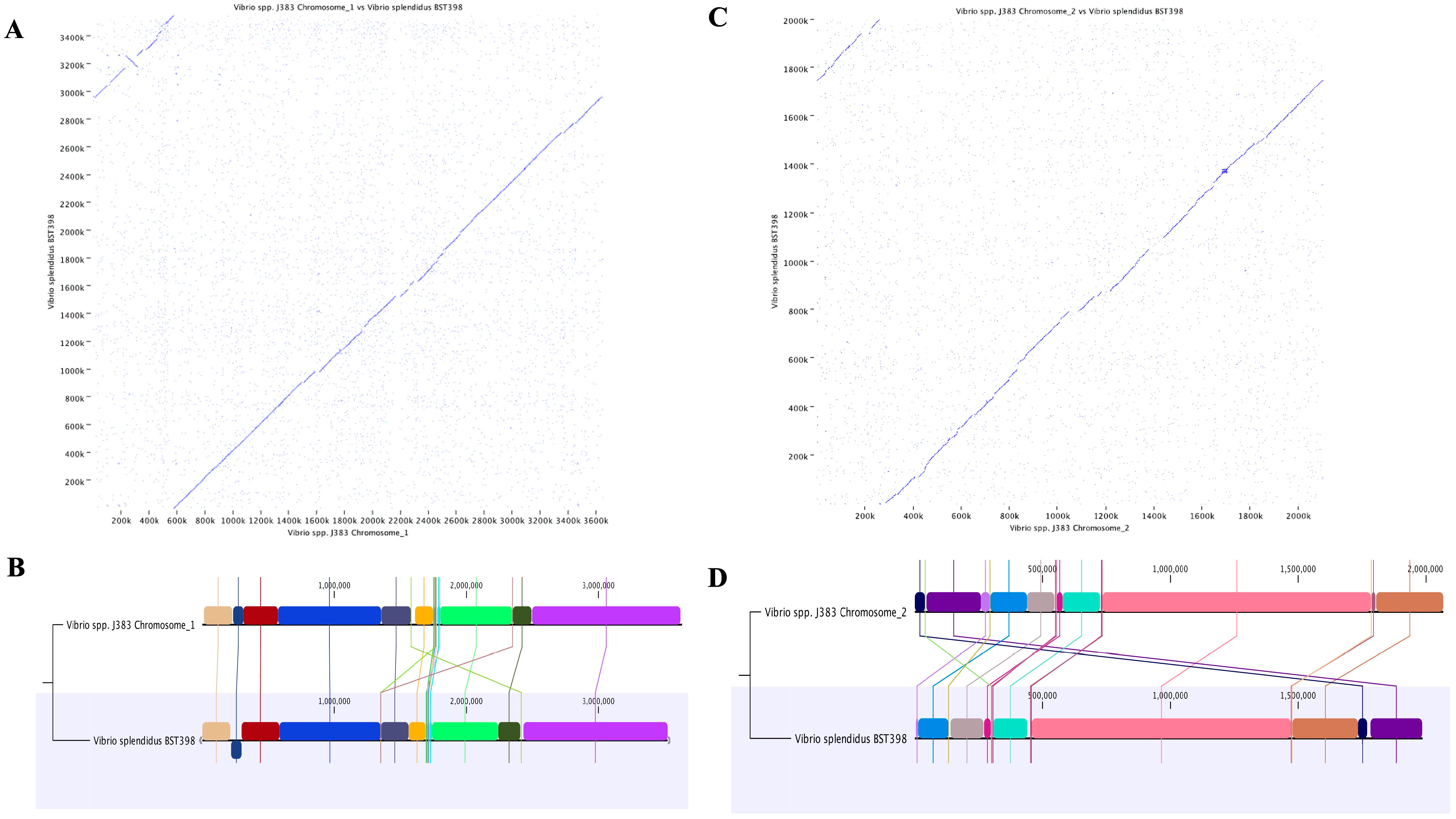 Microorganisms 11 01736 g009 Microorganisms 11 01736 g009