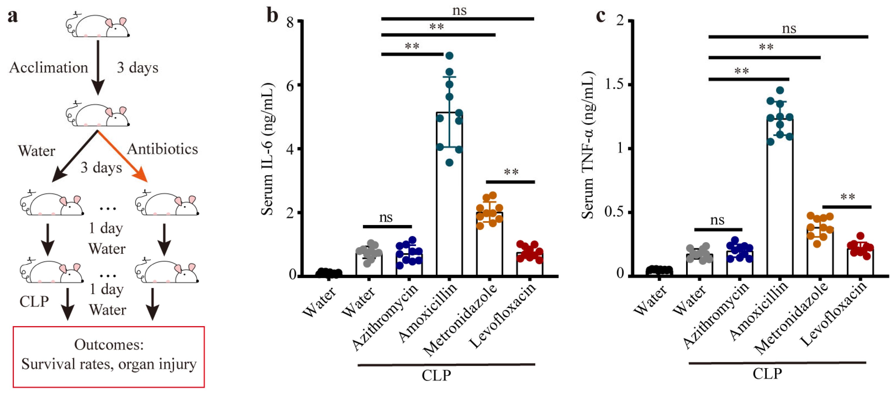 Microorganisms 11 01741 g001