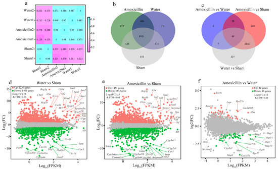 The Gut Microbiota Contributes to Systemic Responses and Liver Injury ...
