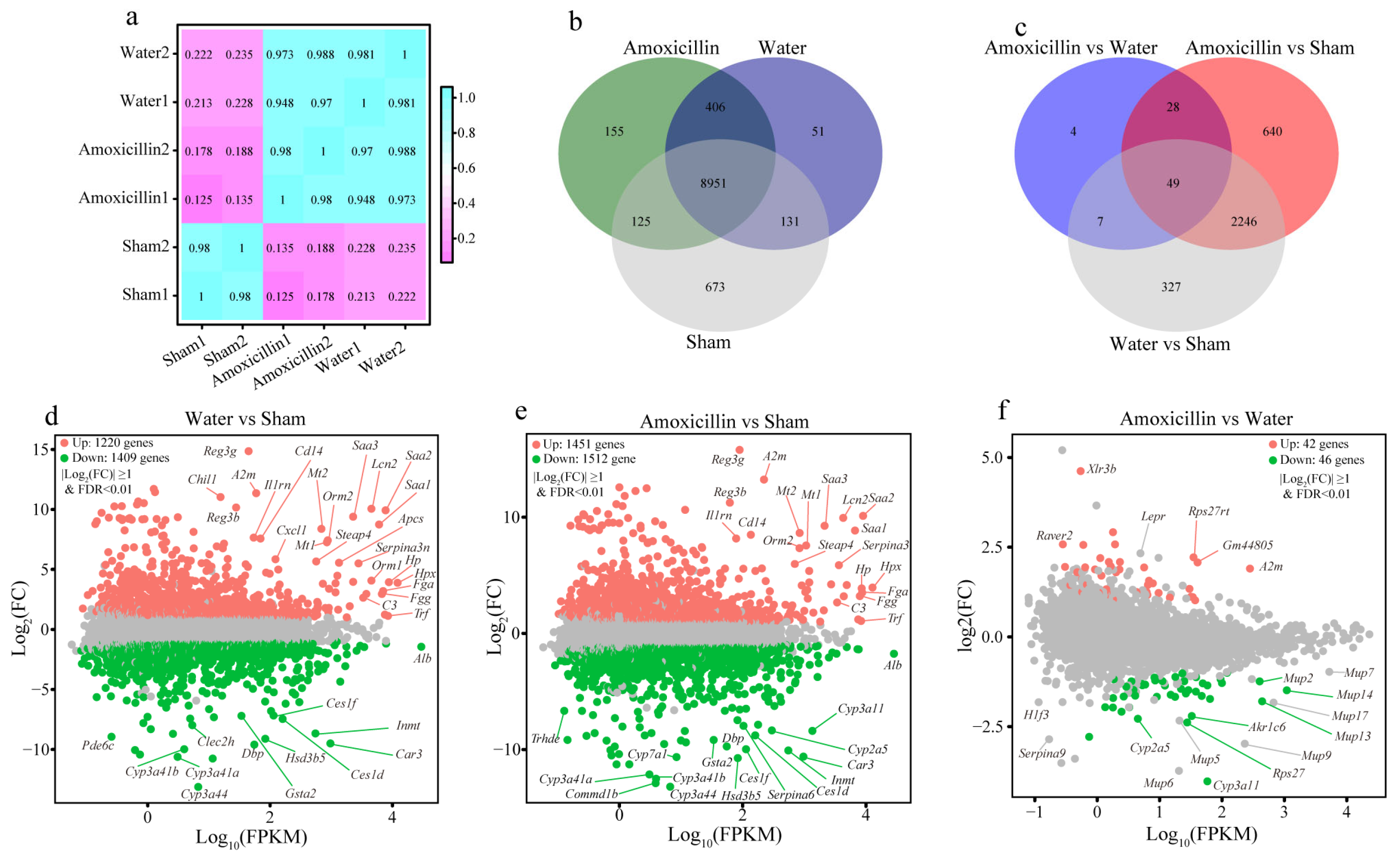 Microorganisms 11 01741 g005