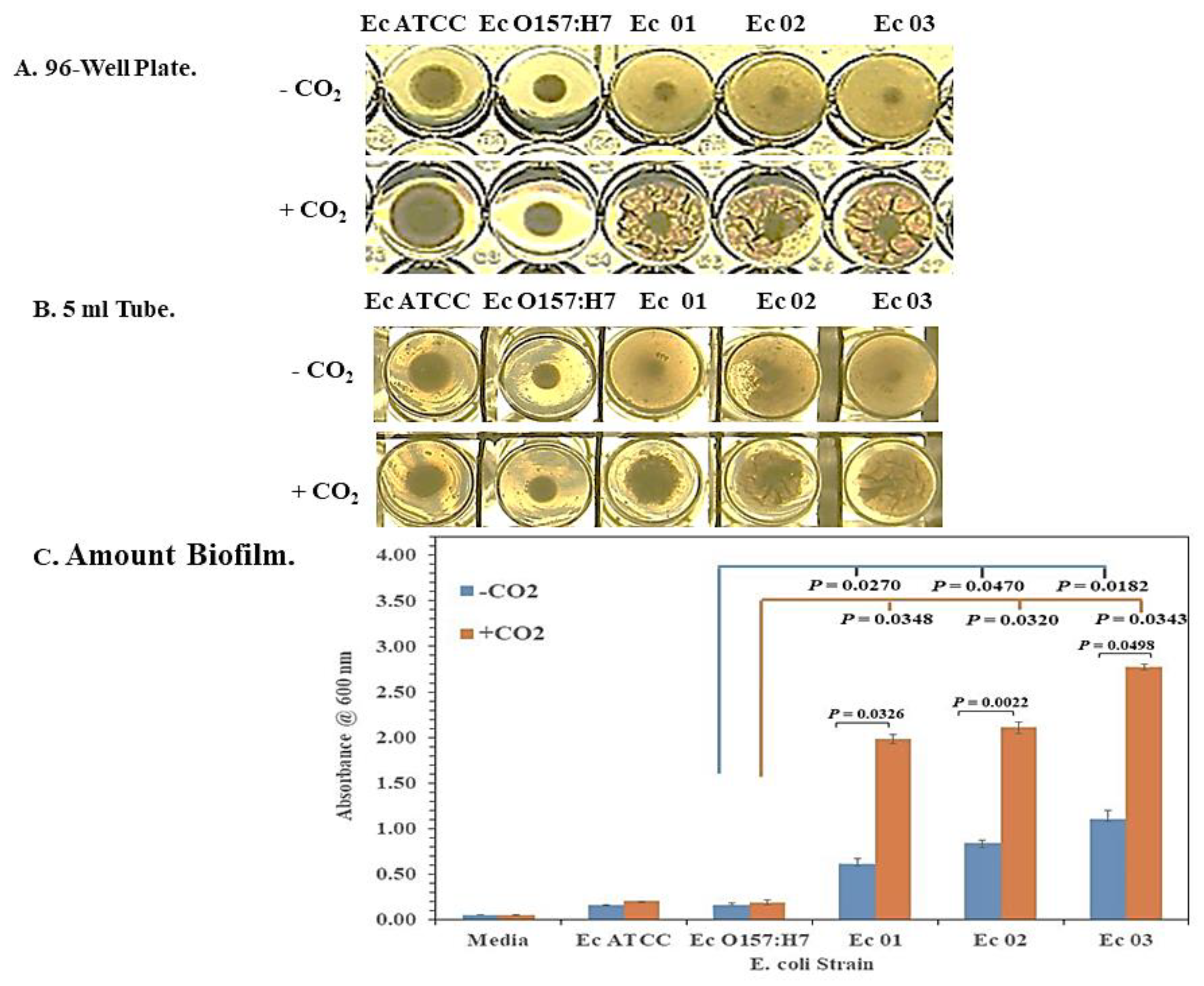 Microorganisms 11 01744 g001