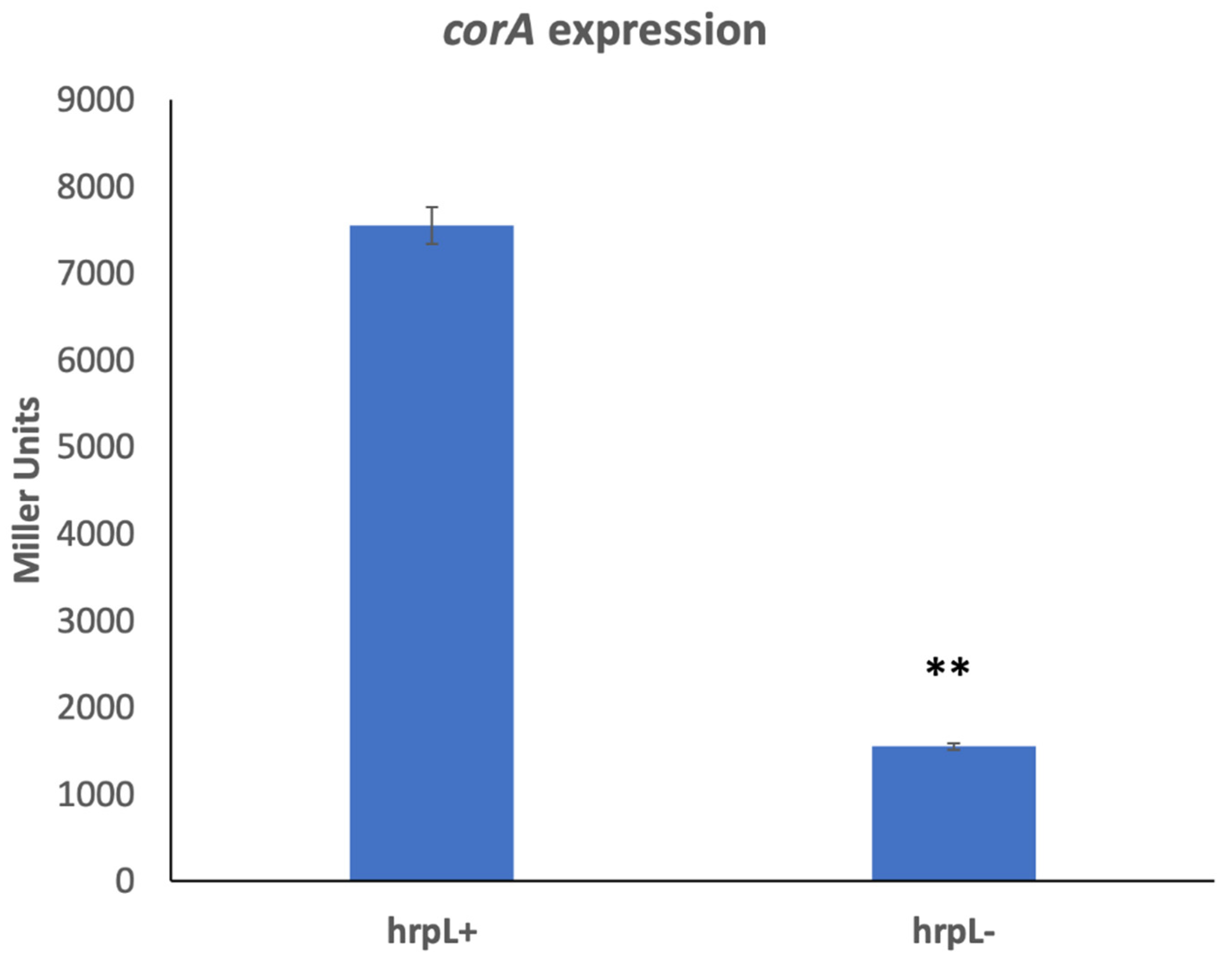 Microorganisms 11 01747 g005 Microorganisms 11 01747 g005