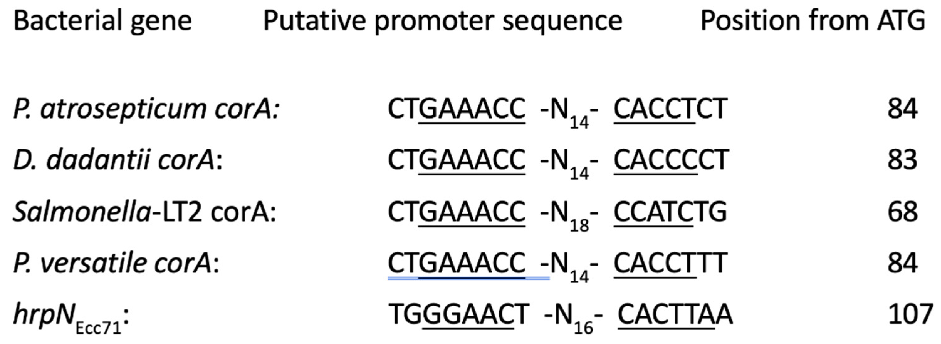 Microorganisms 11 01747 g006 Microorganisms 11 01747 g006