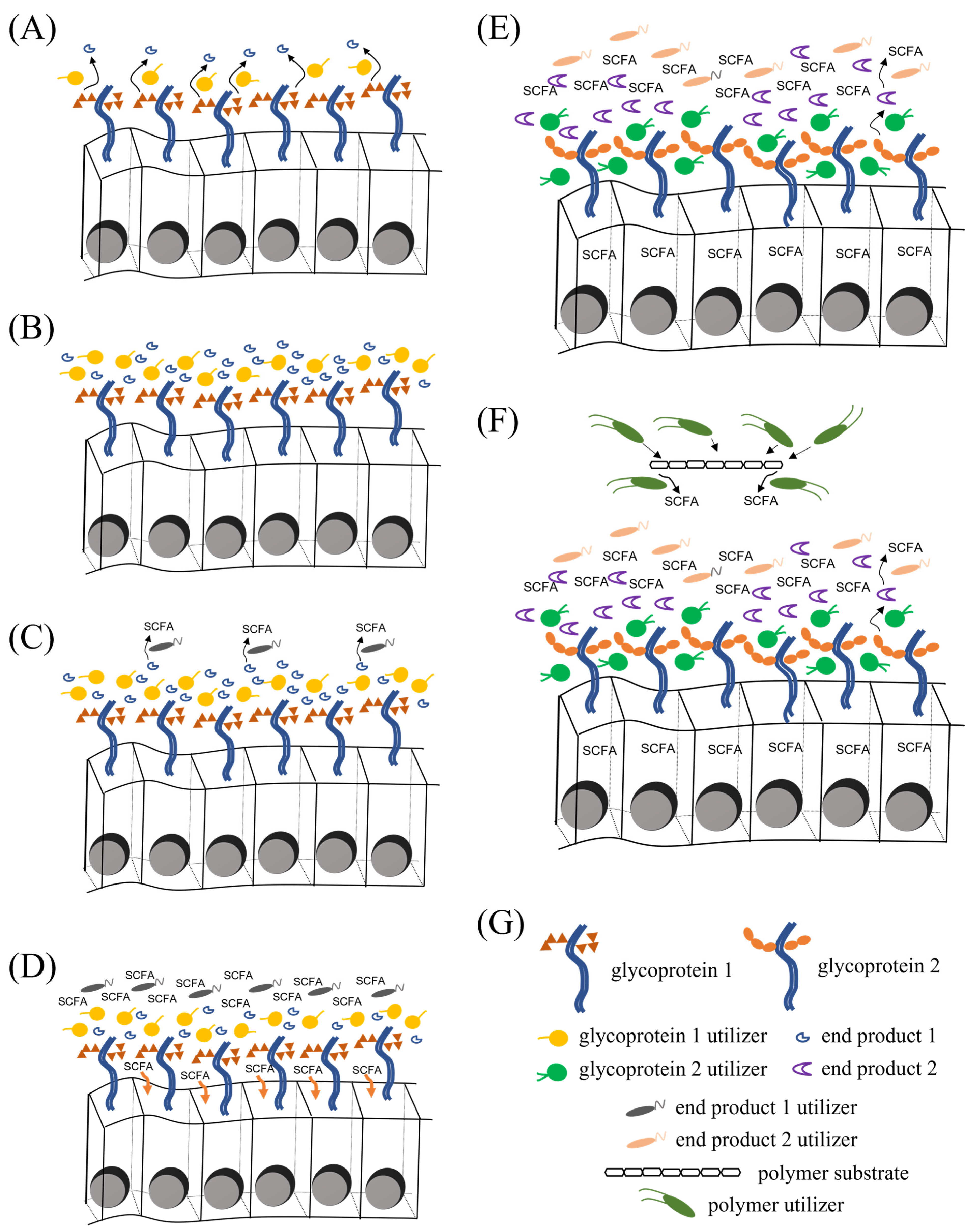 Microorganisms 11 01753 g001 Microorganisms 11 01753 g001