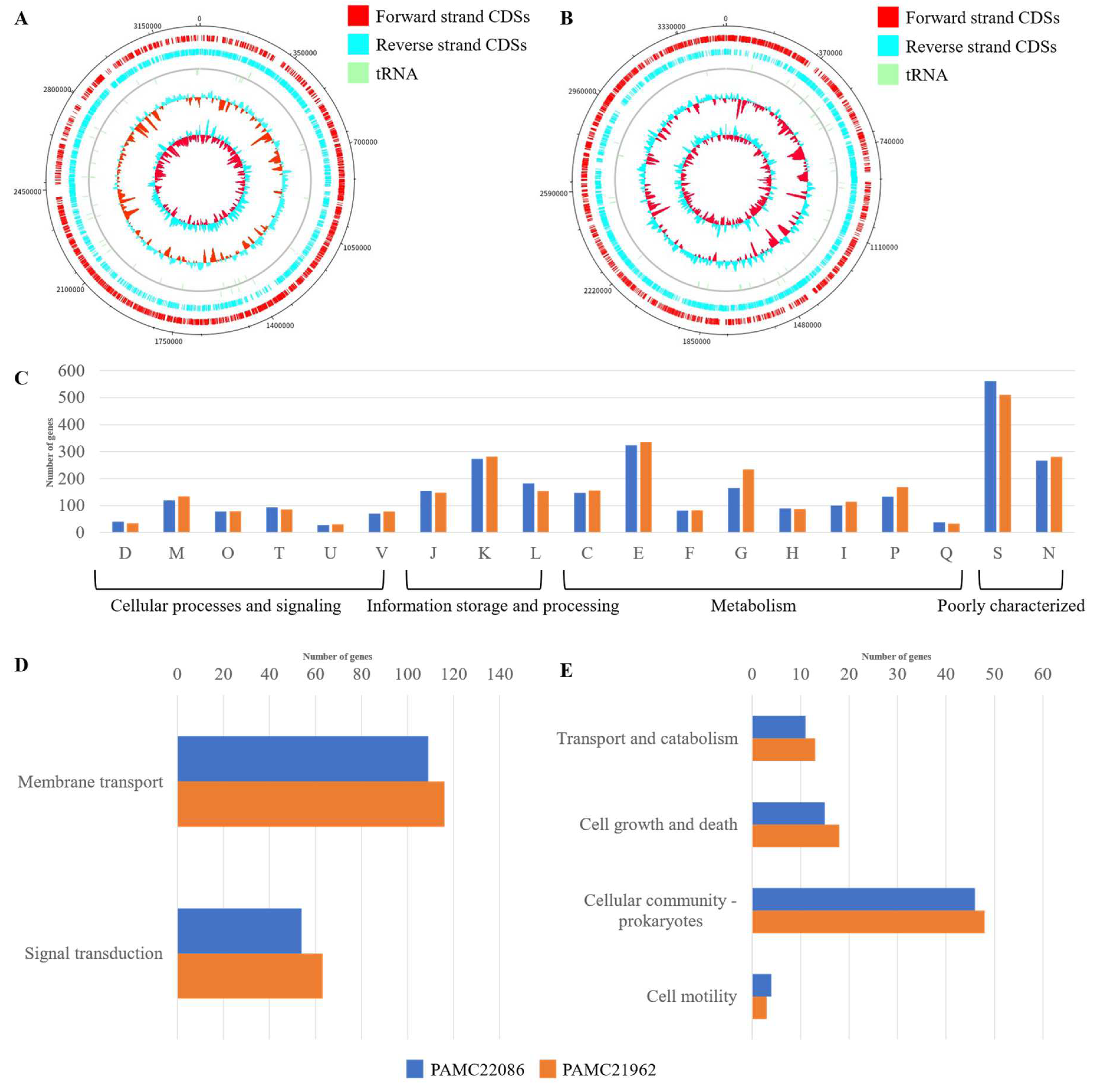 Microorganisms 11 01757 g001 Microorganisms 11 01757 g001