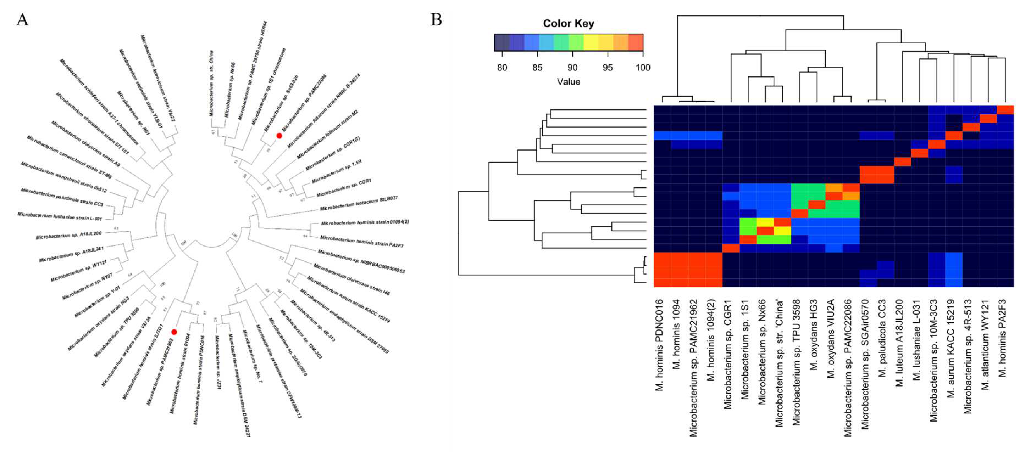 Microorganisms 11 01757 g002 Microorganisms 11 01757 g002