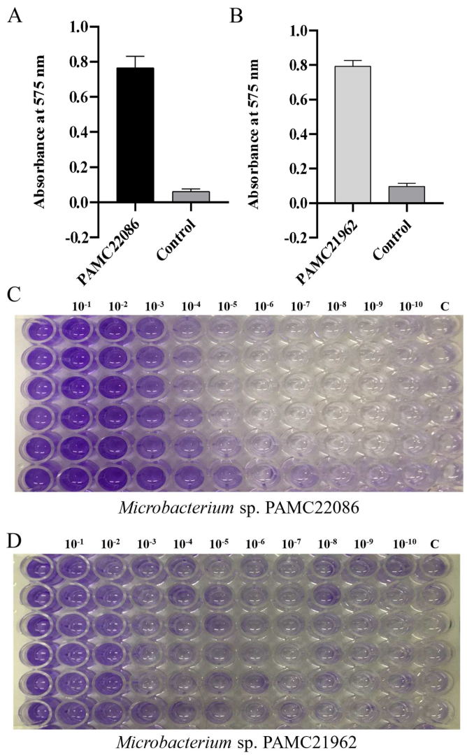 Microorganisms 11 01757 g006 Microorganisms 11 01757 g006