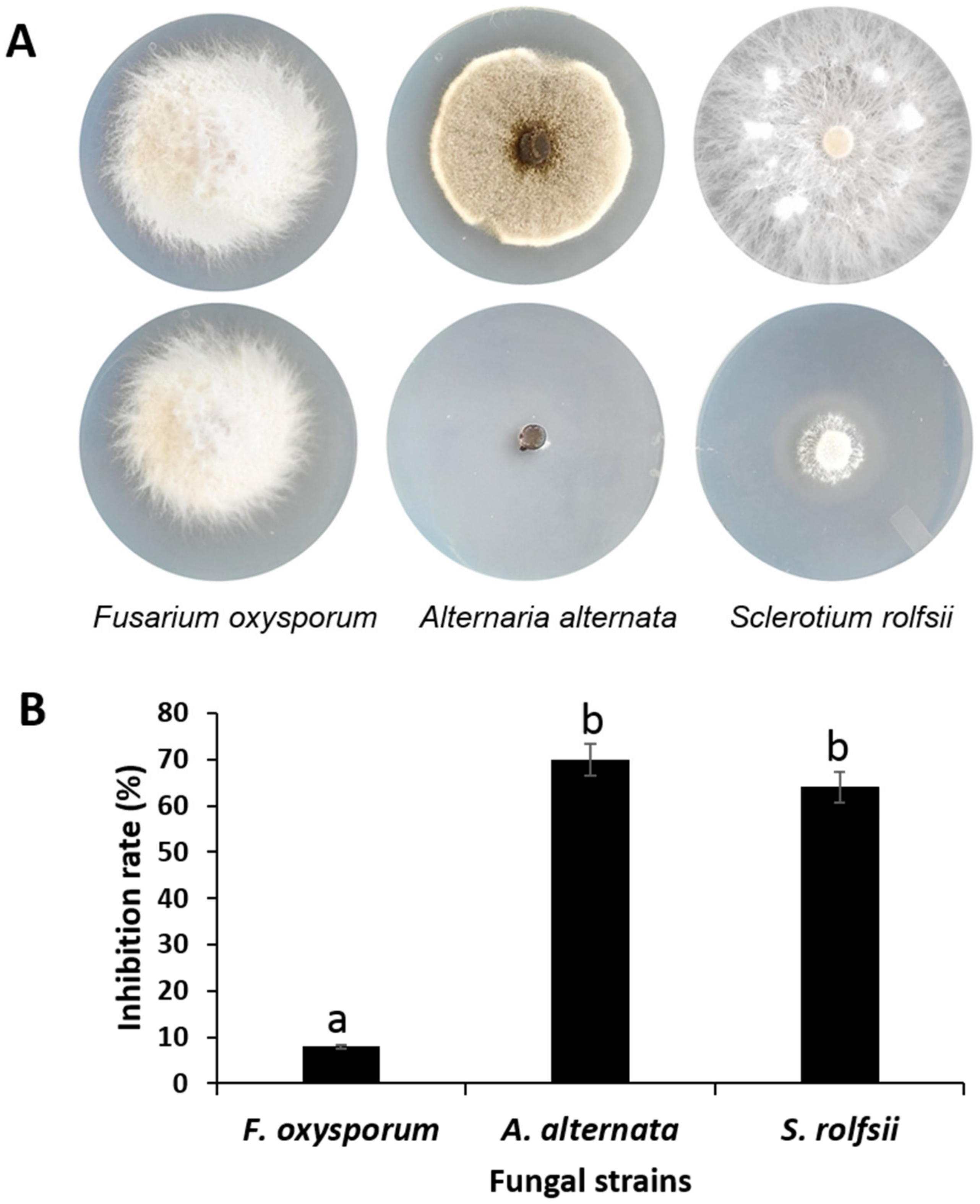 Microorganisms 11 01758 g004 Microorganisms 11 01758 g004