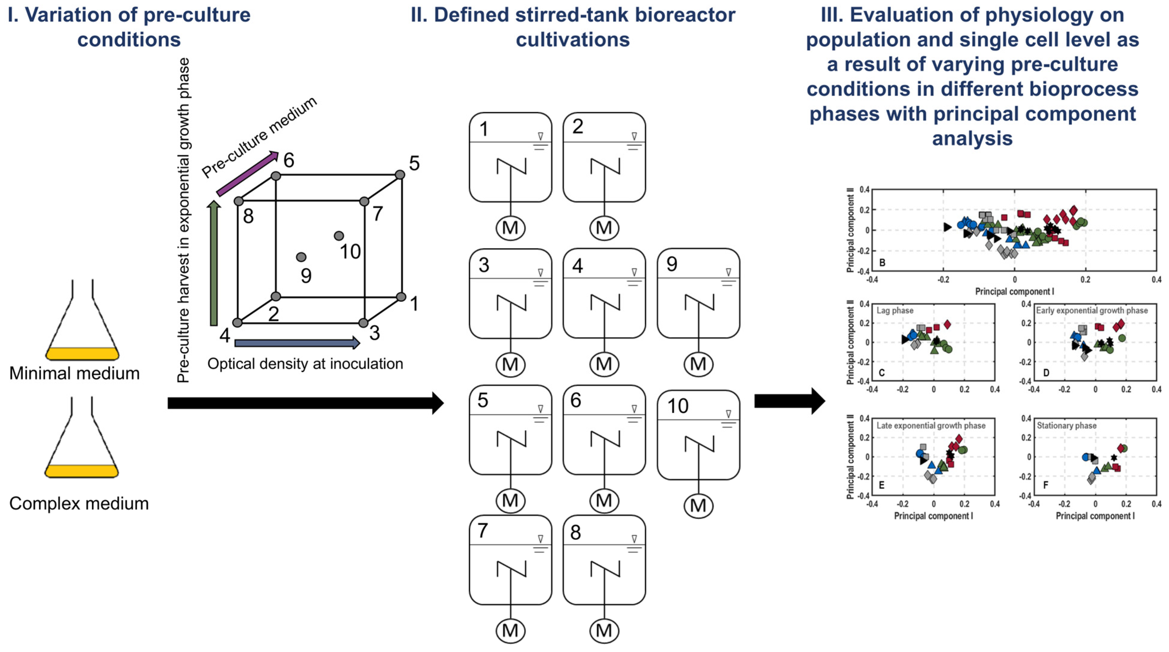 Microorganisms 11 01763 g001 Microorganisms 11 01763 g001