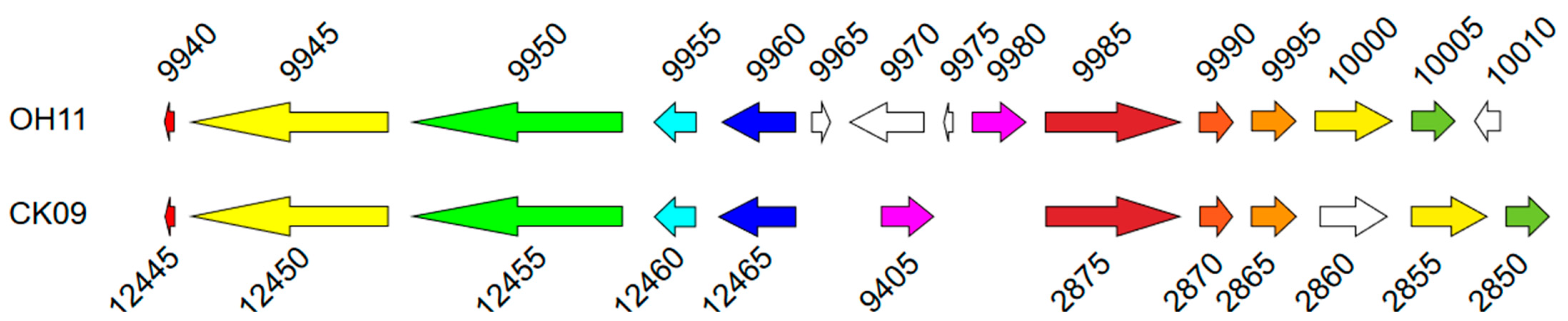 Microorganisms 11 01768 g004