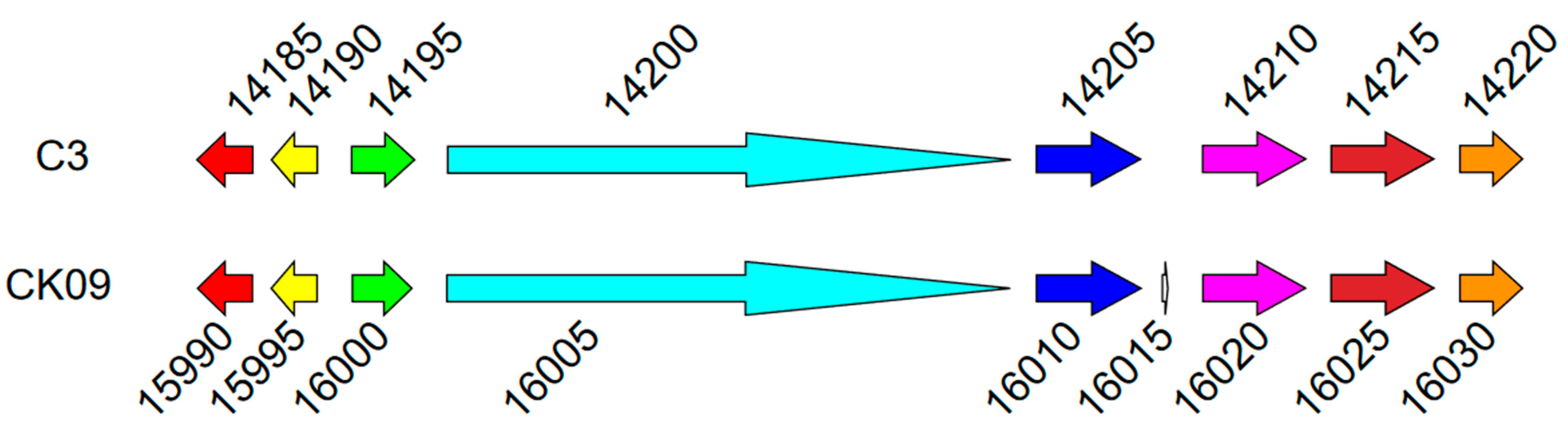 Microorganisms 11 01768 g005