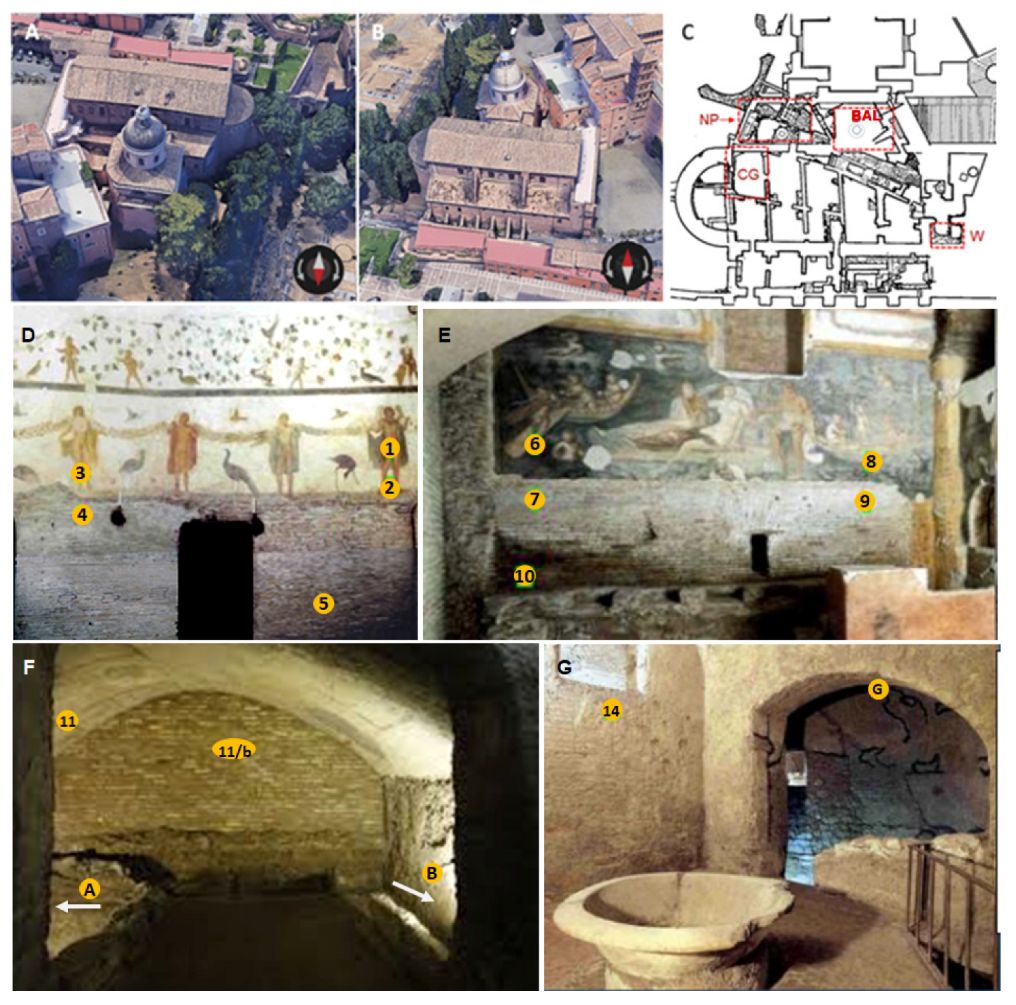 Microorganisms 11 01770 g001