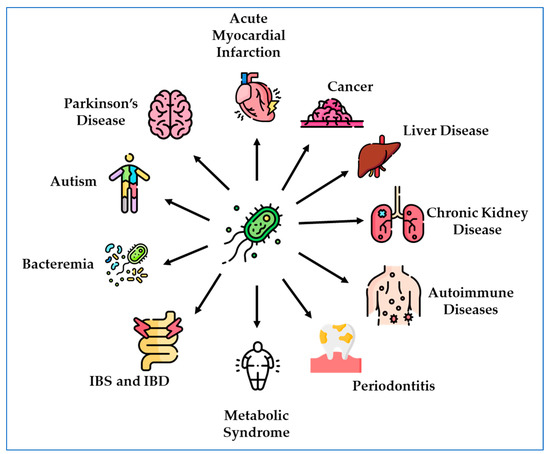 その他 Y Desulfovibrio in the Gut: The Enemy within?