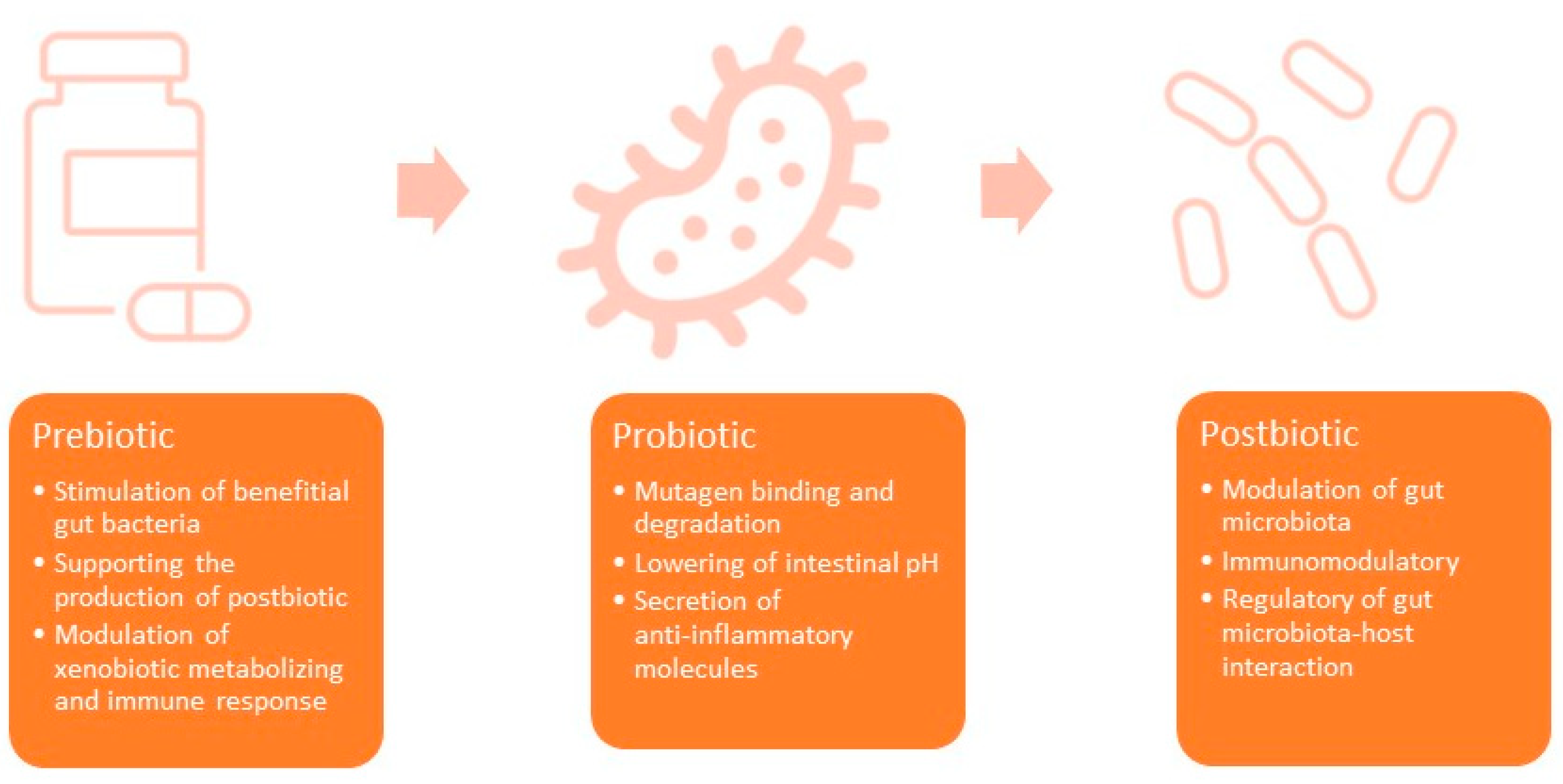 Microorganisms 11 01775 g001