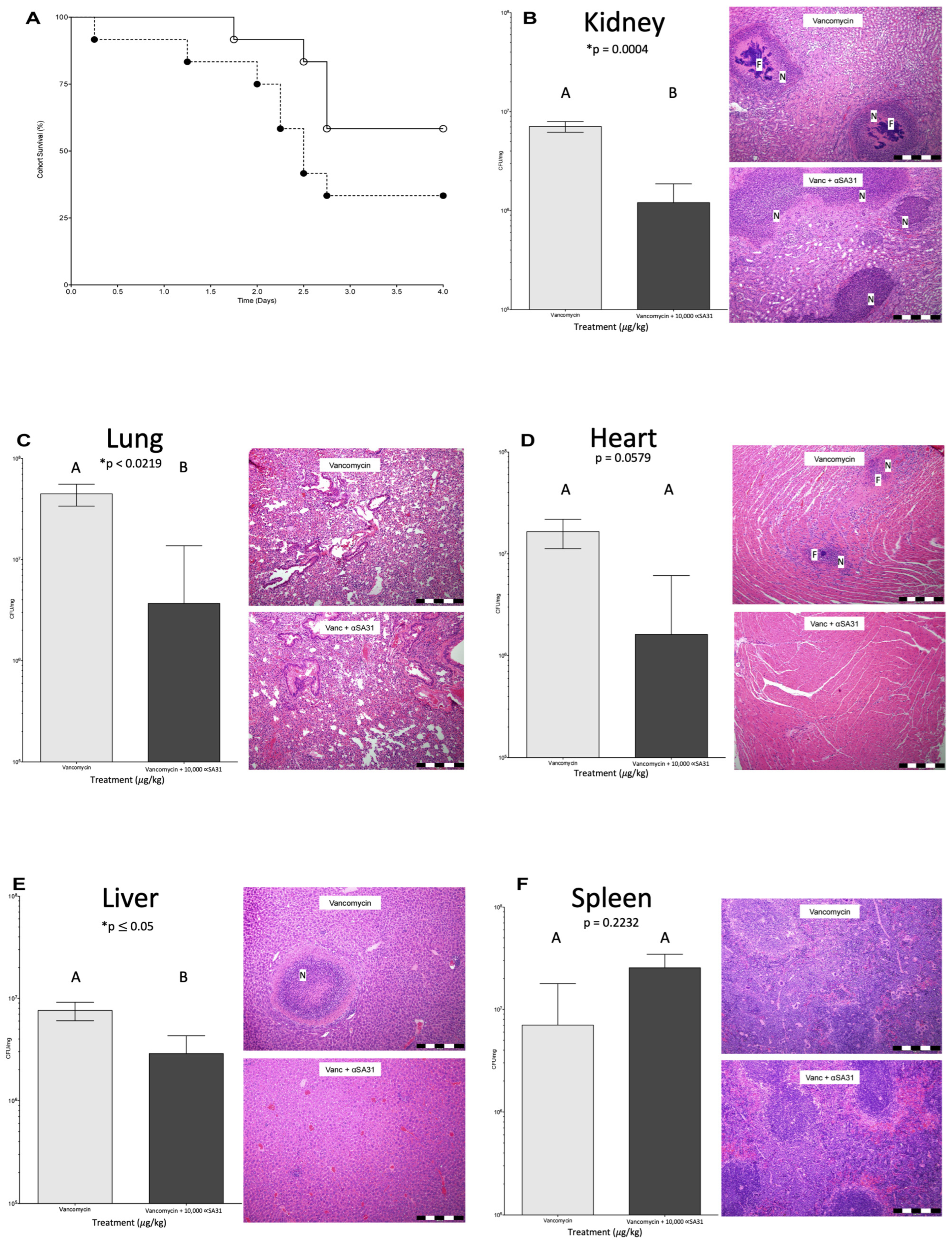 Microorganisms 11 01776 g004 Microorganisms 11 01776 g004