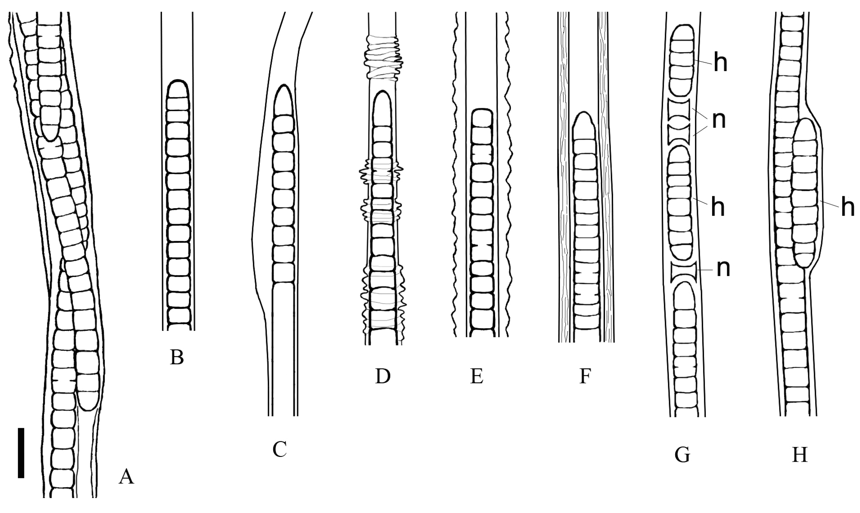 Microorganisms 11 01779 g005 Microorganisms 11 01779 g005