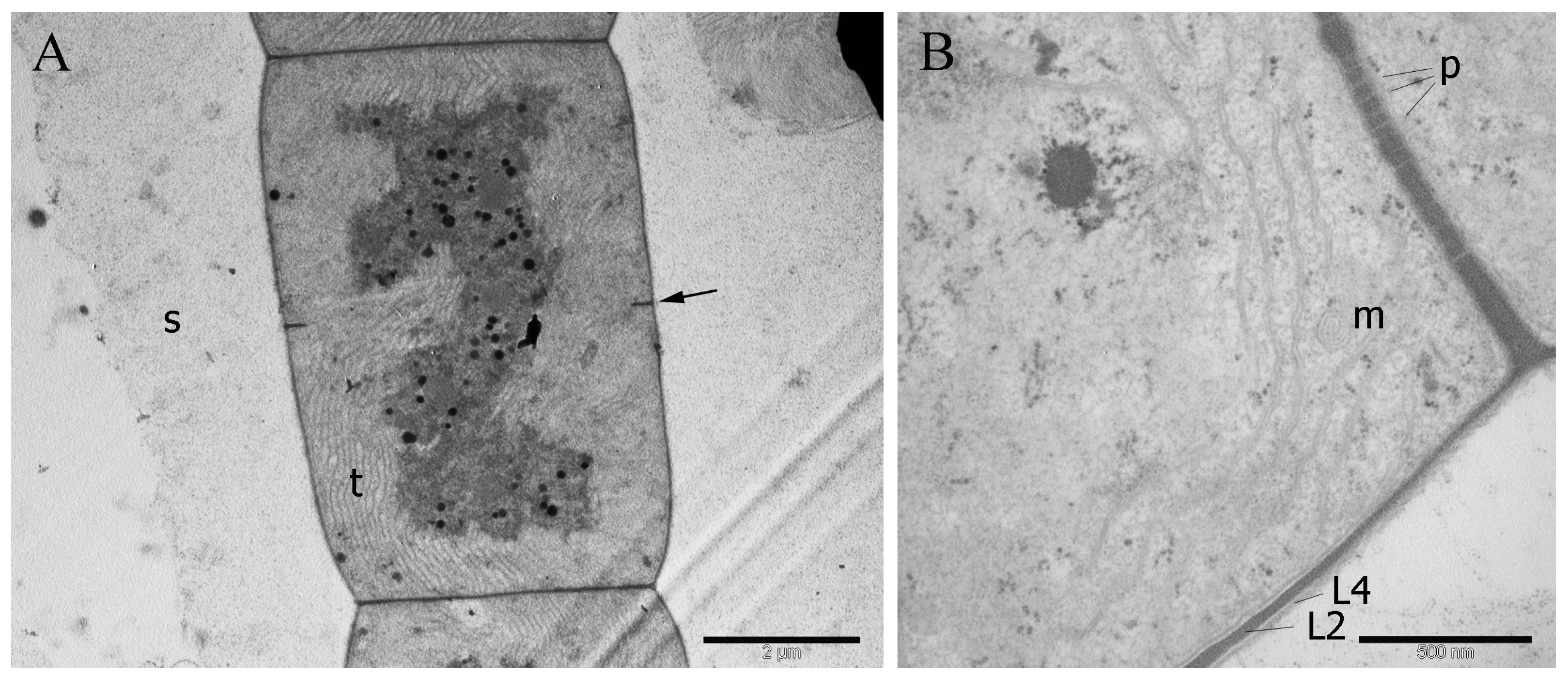 Microorganisms 11 01779 g006 Microorganisms 11 01779 g006