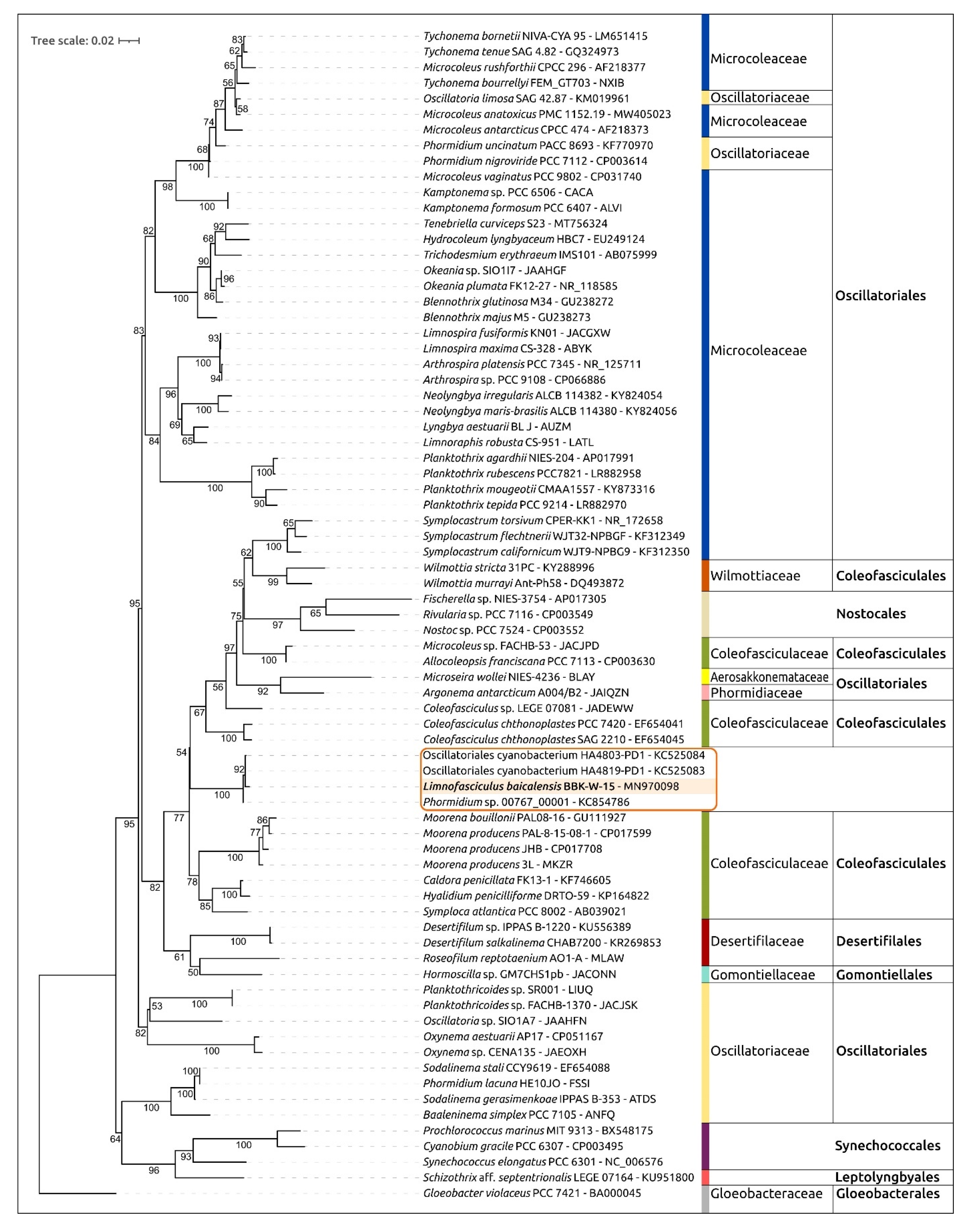 Microorganisms 11 01779 g007 Microorganisms 11 01779 g007