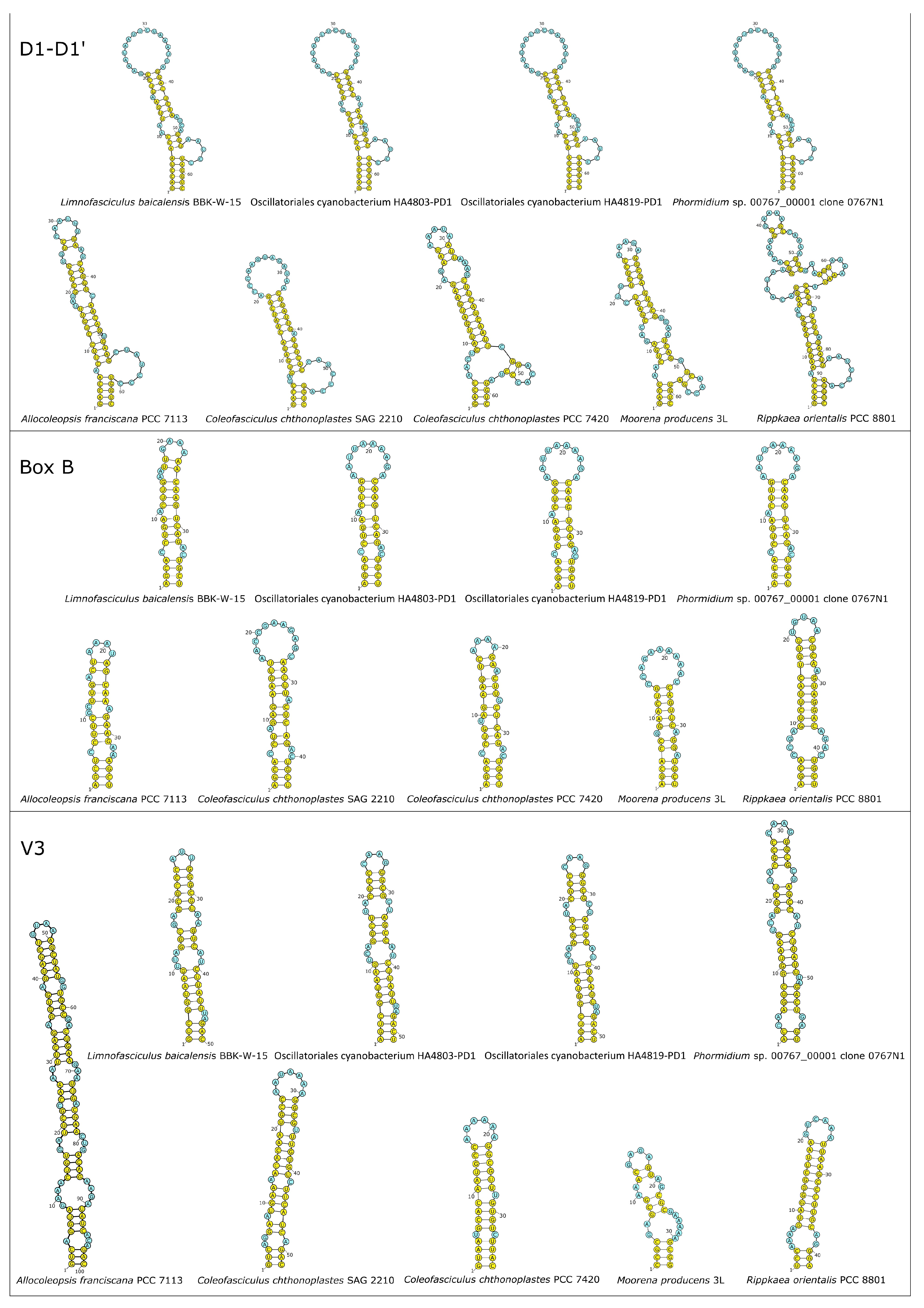 Microorganisms 11 01779 g008 Microorganisms 11 01779 g008