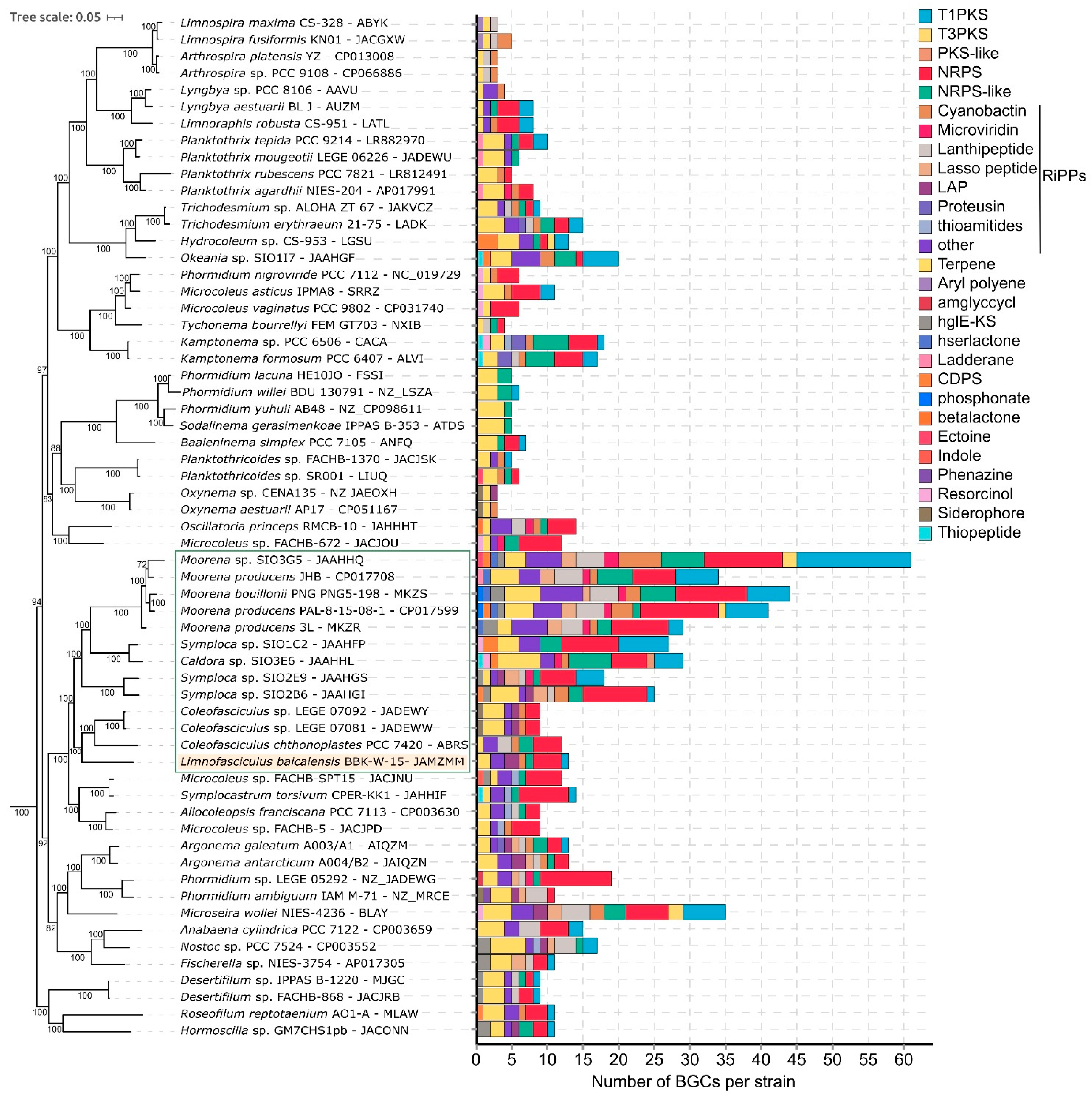 Microorganisms 11 01779 g011 Microorganisms 11 01779 g011