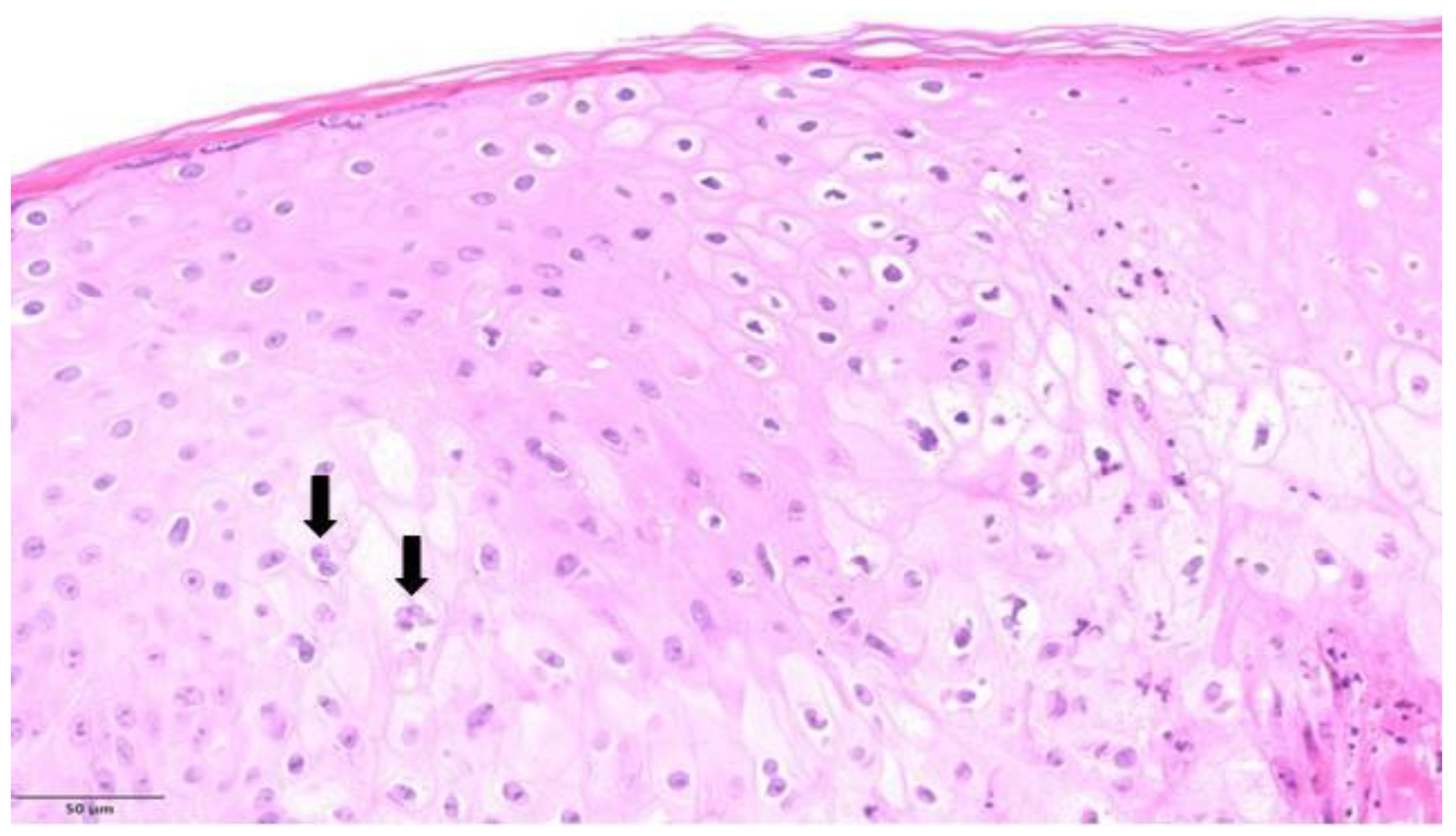 Microorganisms 11 01781 g003 Microorganisms 11 01781 g003