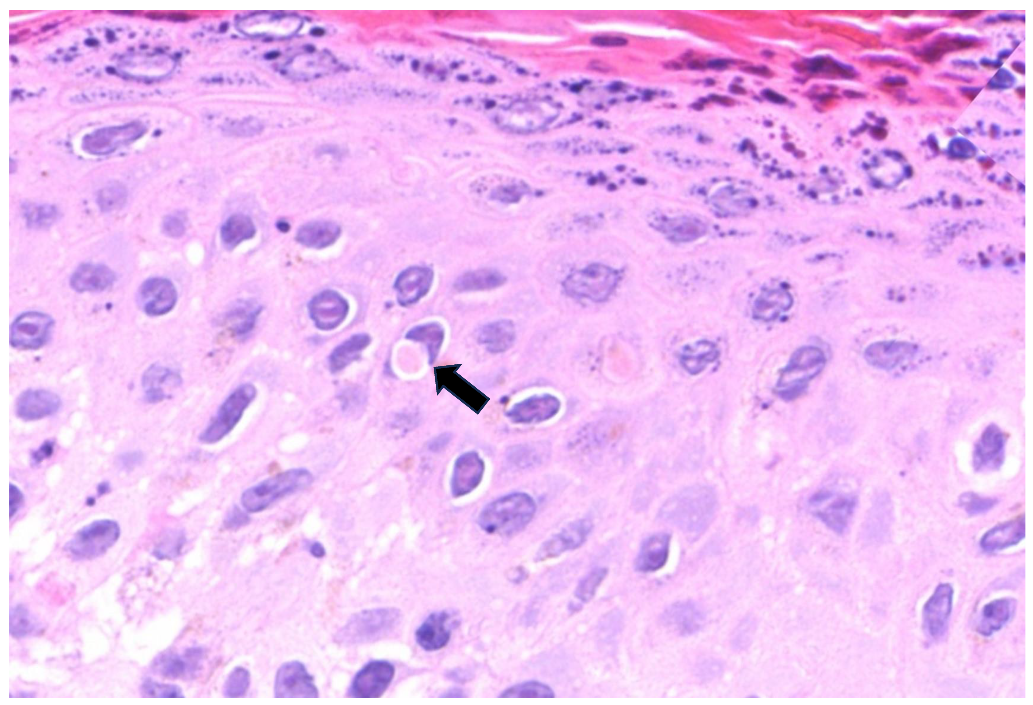 Microorganisms 11 01781 g004 Microorganisms 11 01781 g004