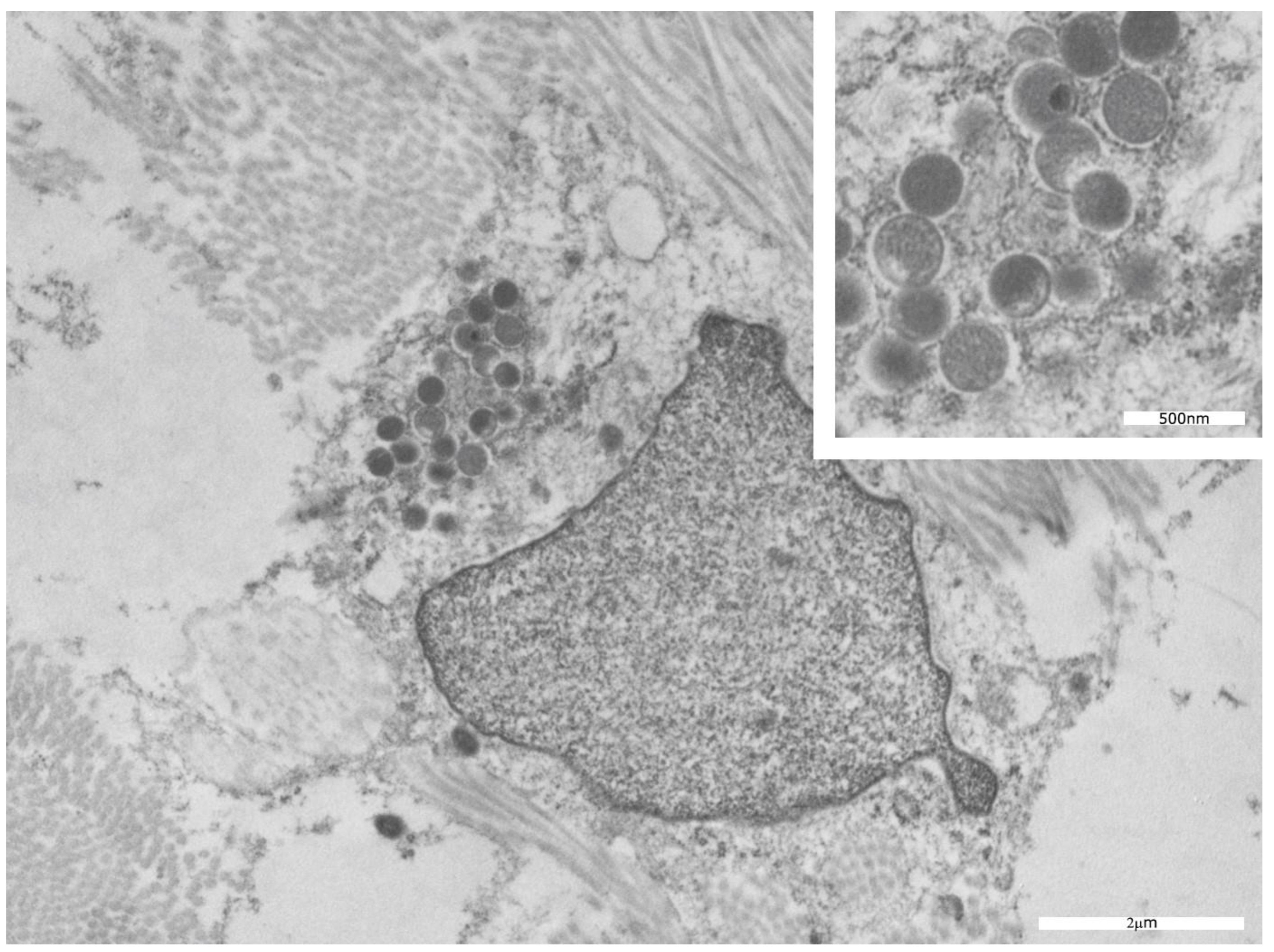 Microorganisms 11 01781 g008 Microorganisms 11 01781 g008