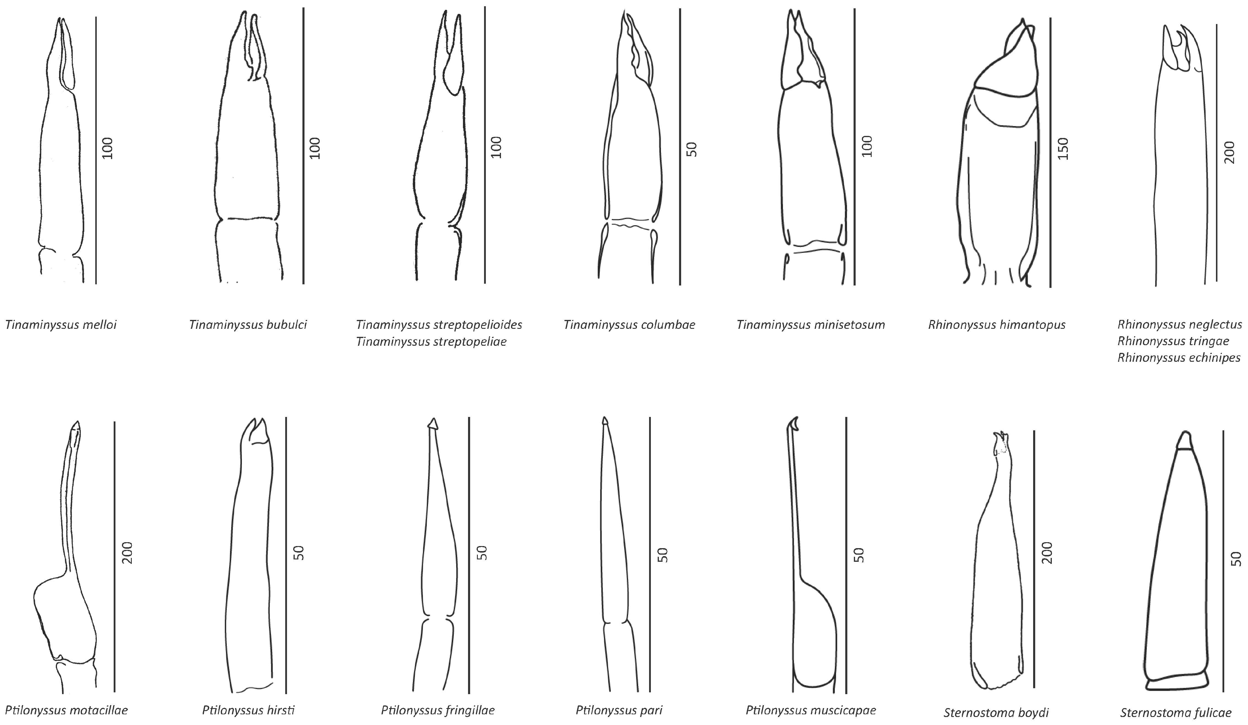 Microorganisms 11 01783 g002 Microorganisms 11 01783 g002