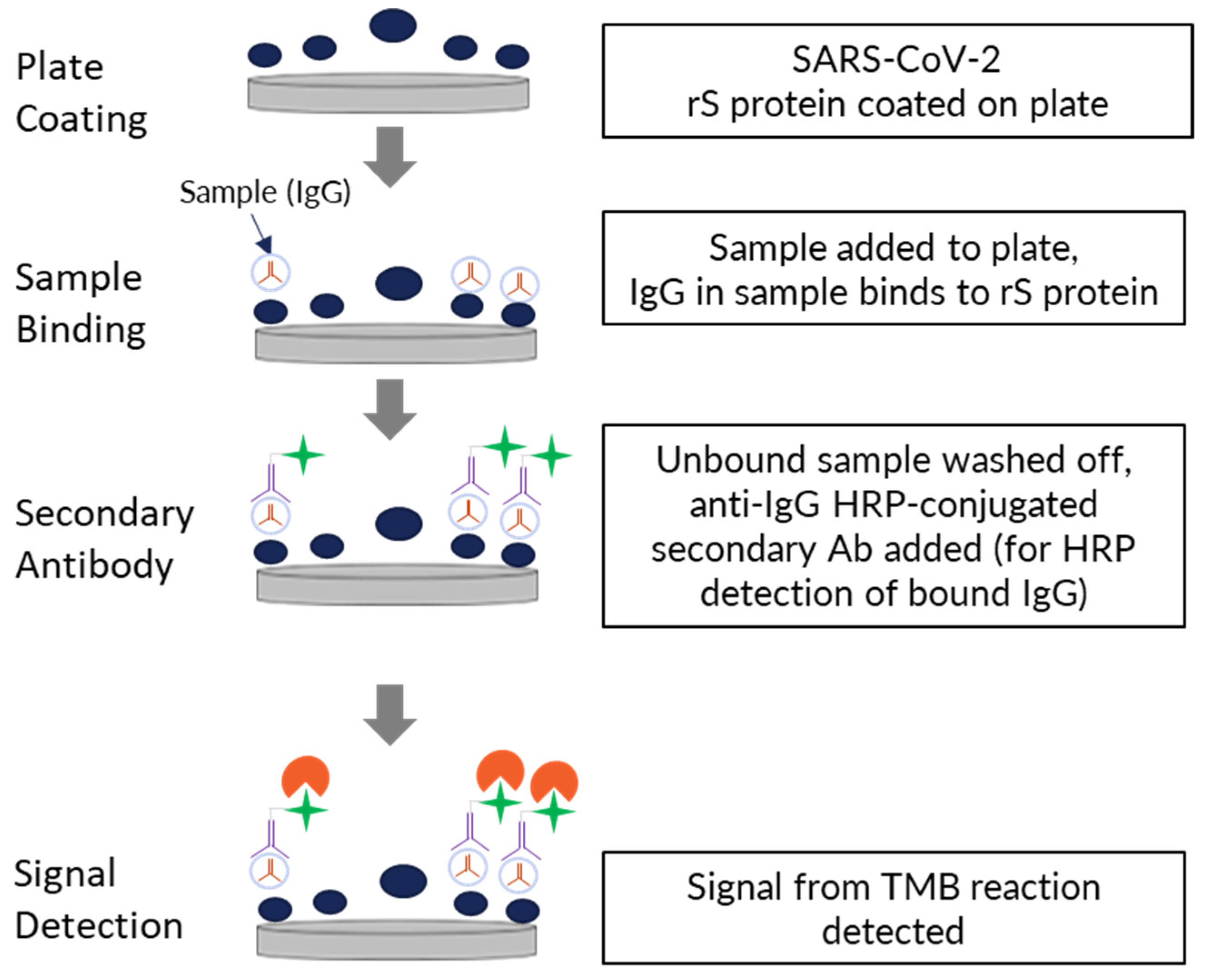 Microorganisms 11 01789 g001