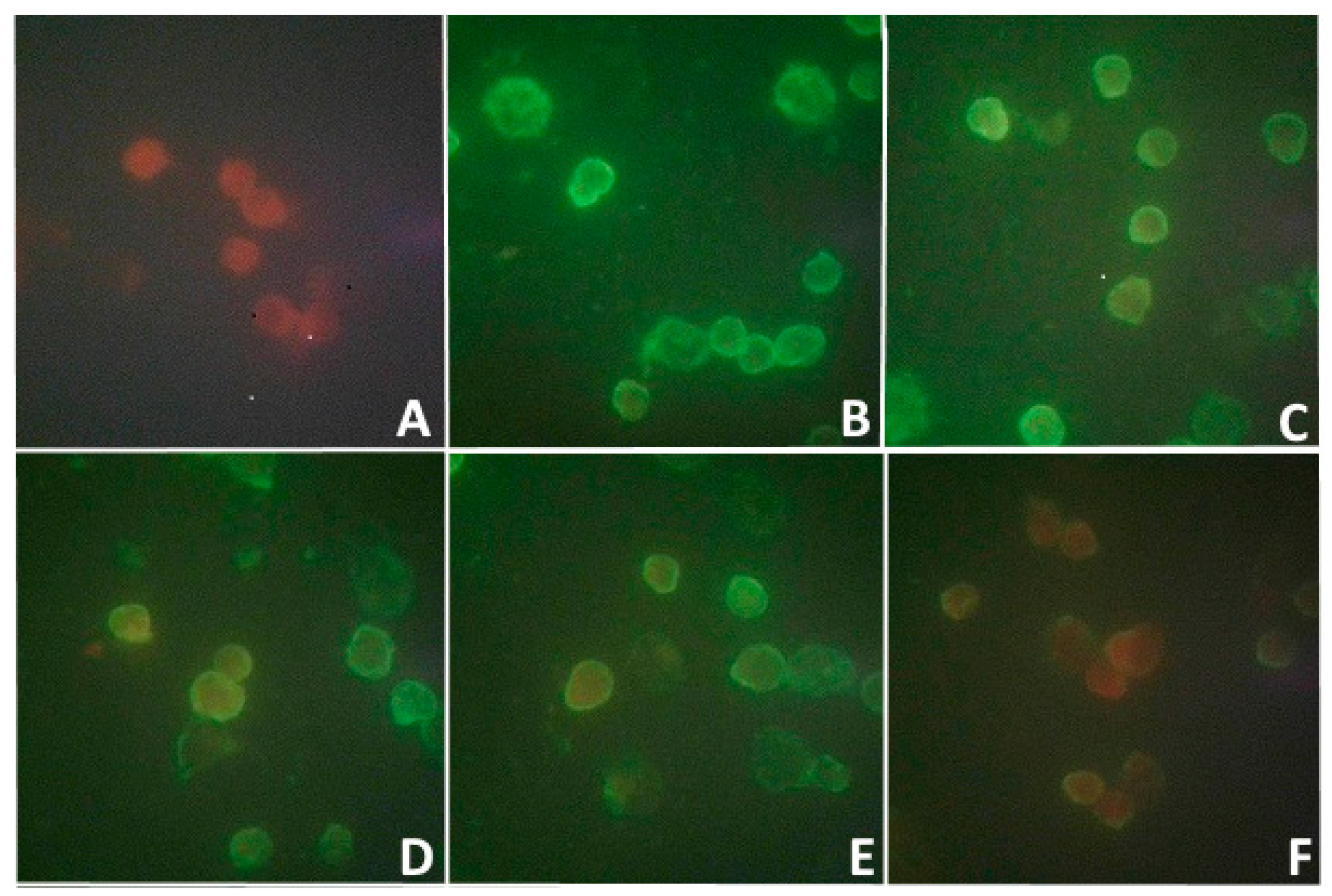 Microorganisms 11 01791 g001