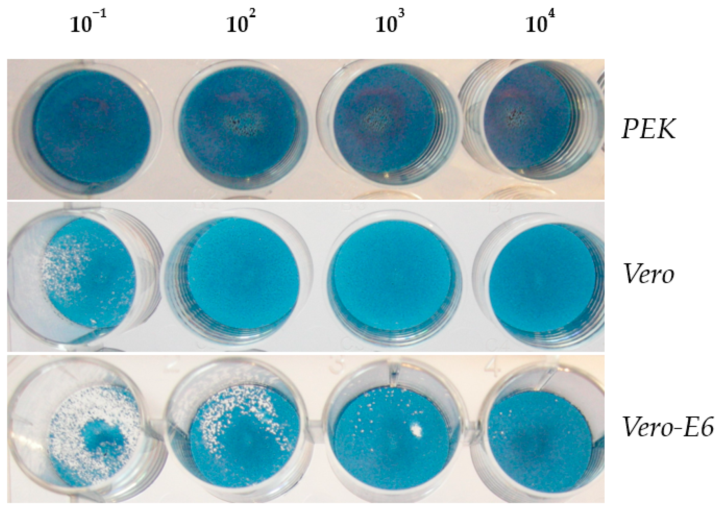 Microorganisms 11 01791 g004