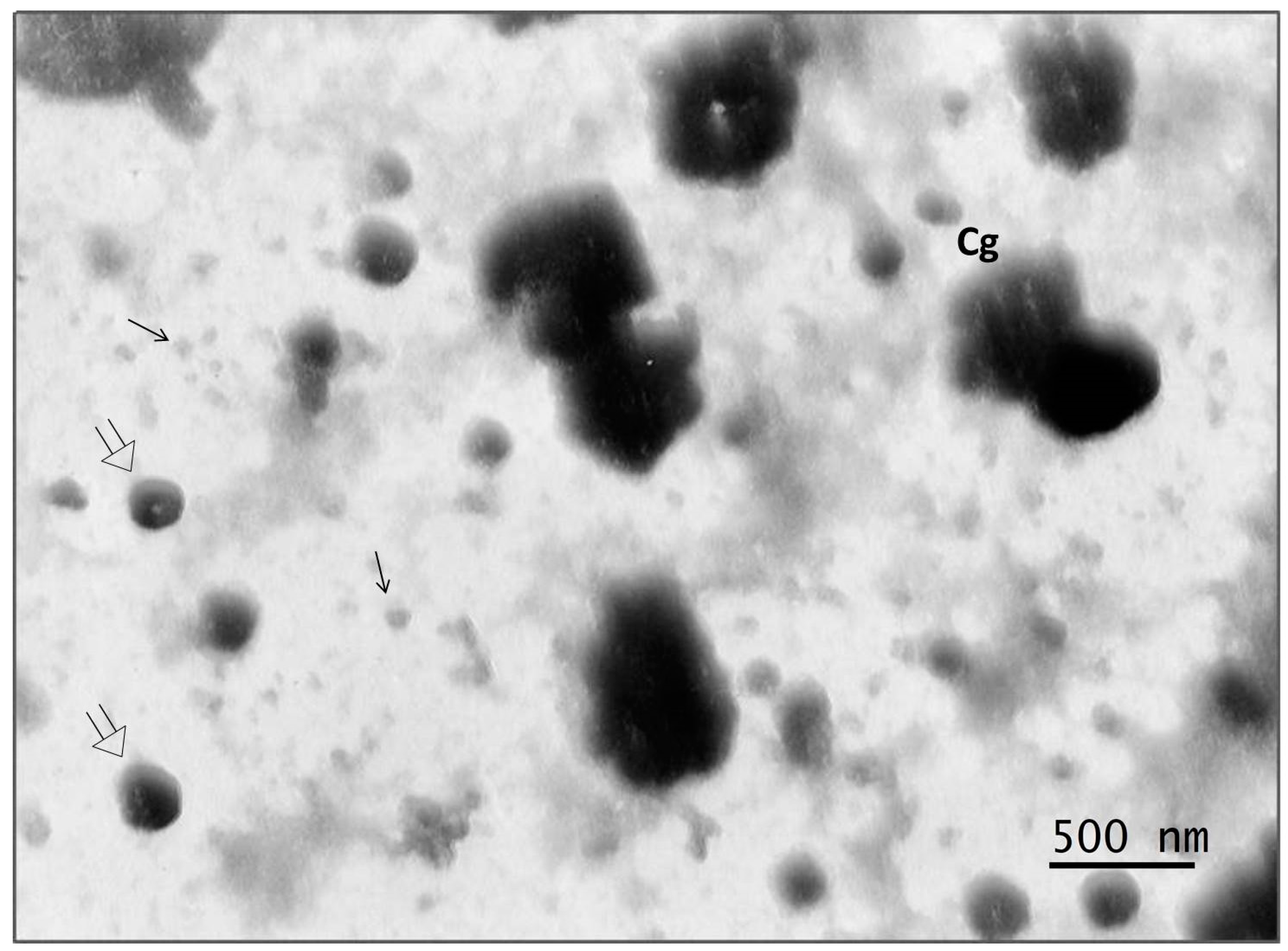 Microorganisms 11 01791 g009