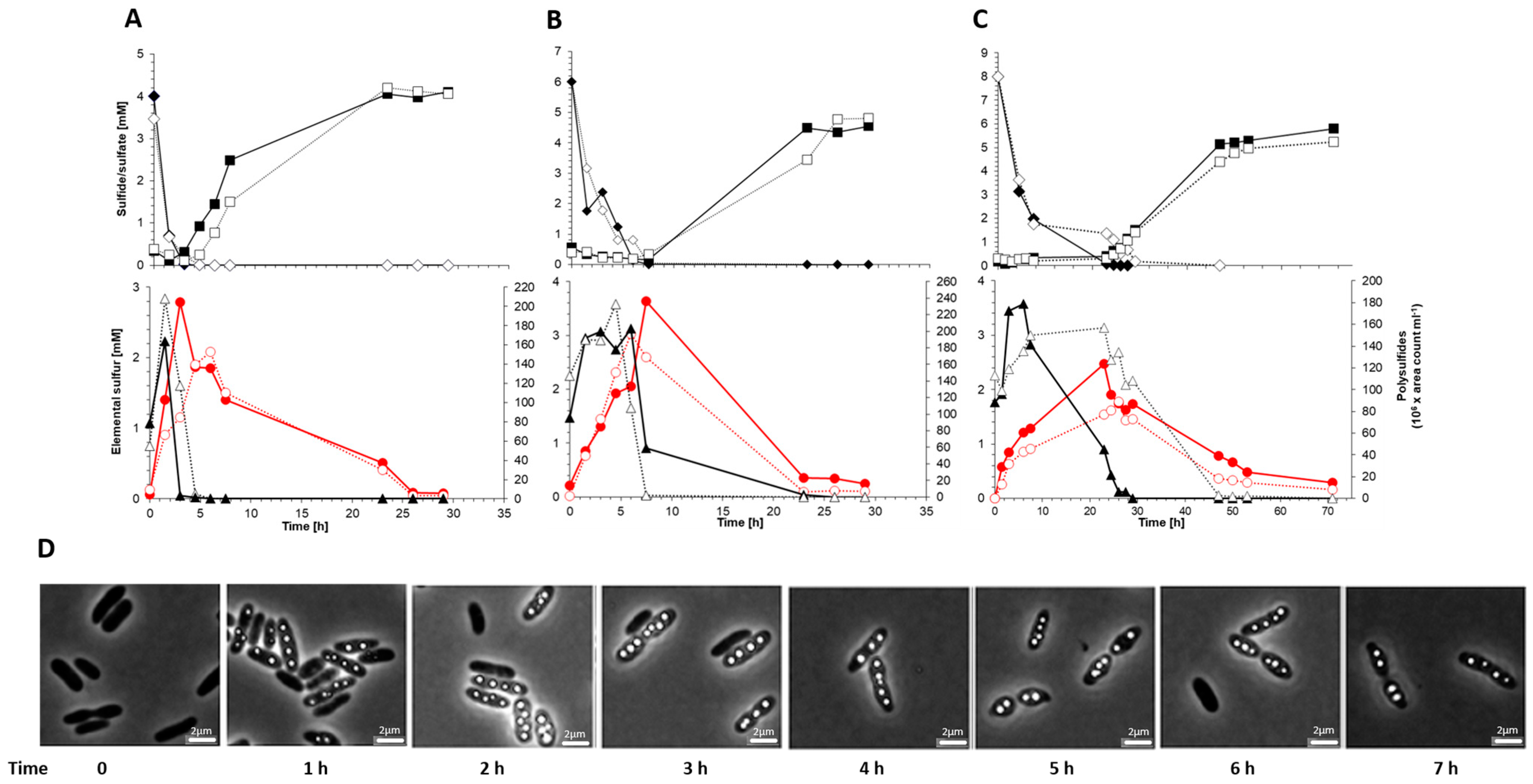 Microorganisms 11 01792 g006 Microorganisms 11 01792 g006