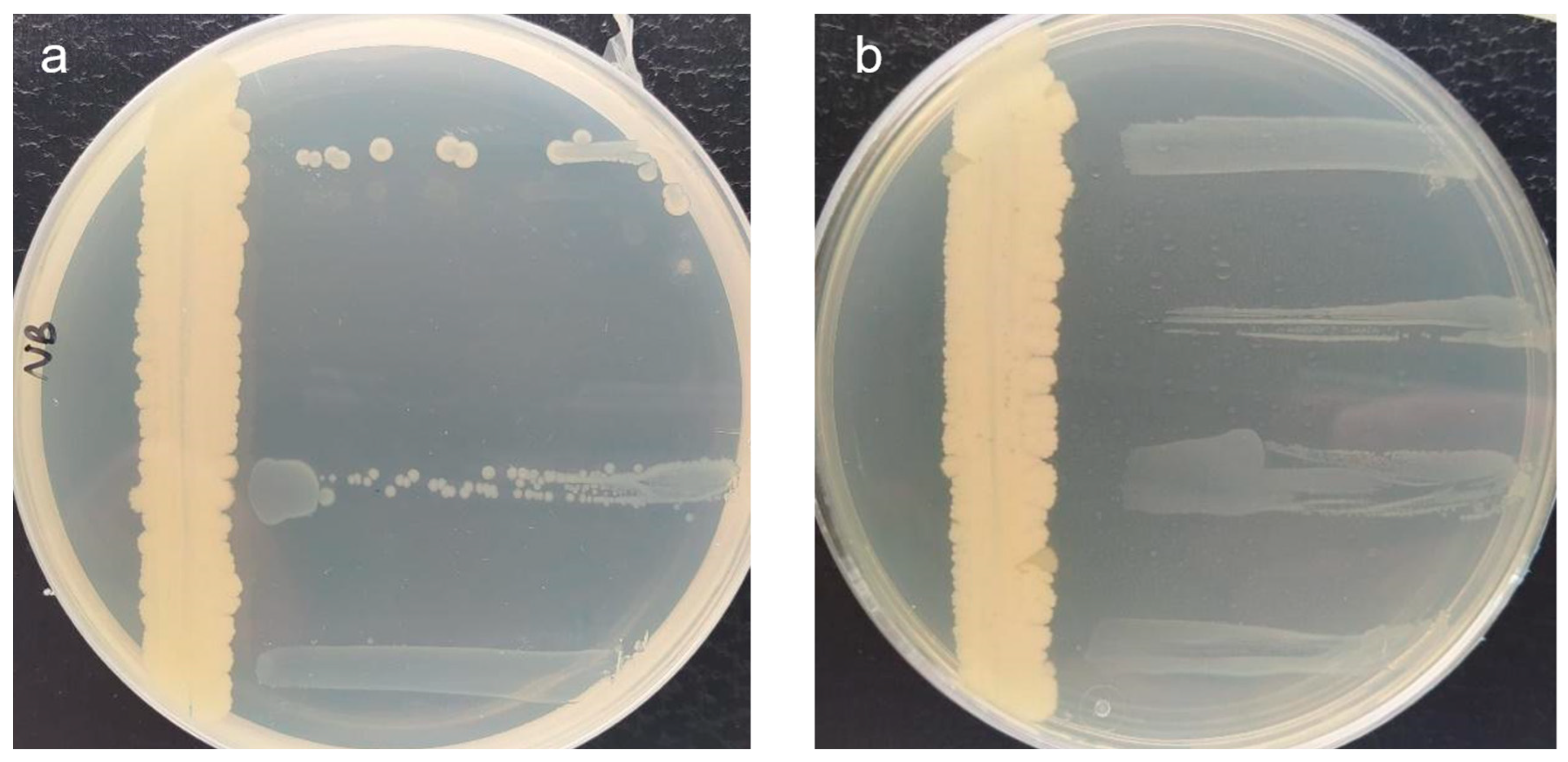 Microorganisms 11 01795 g001 Microorganisms 11 01795 g001