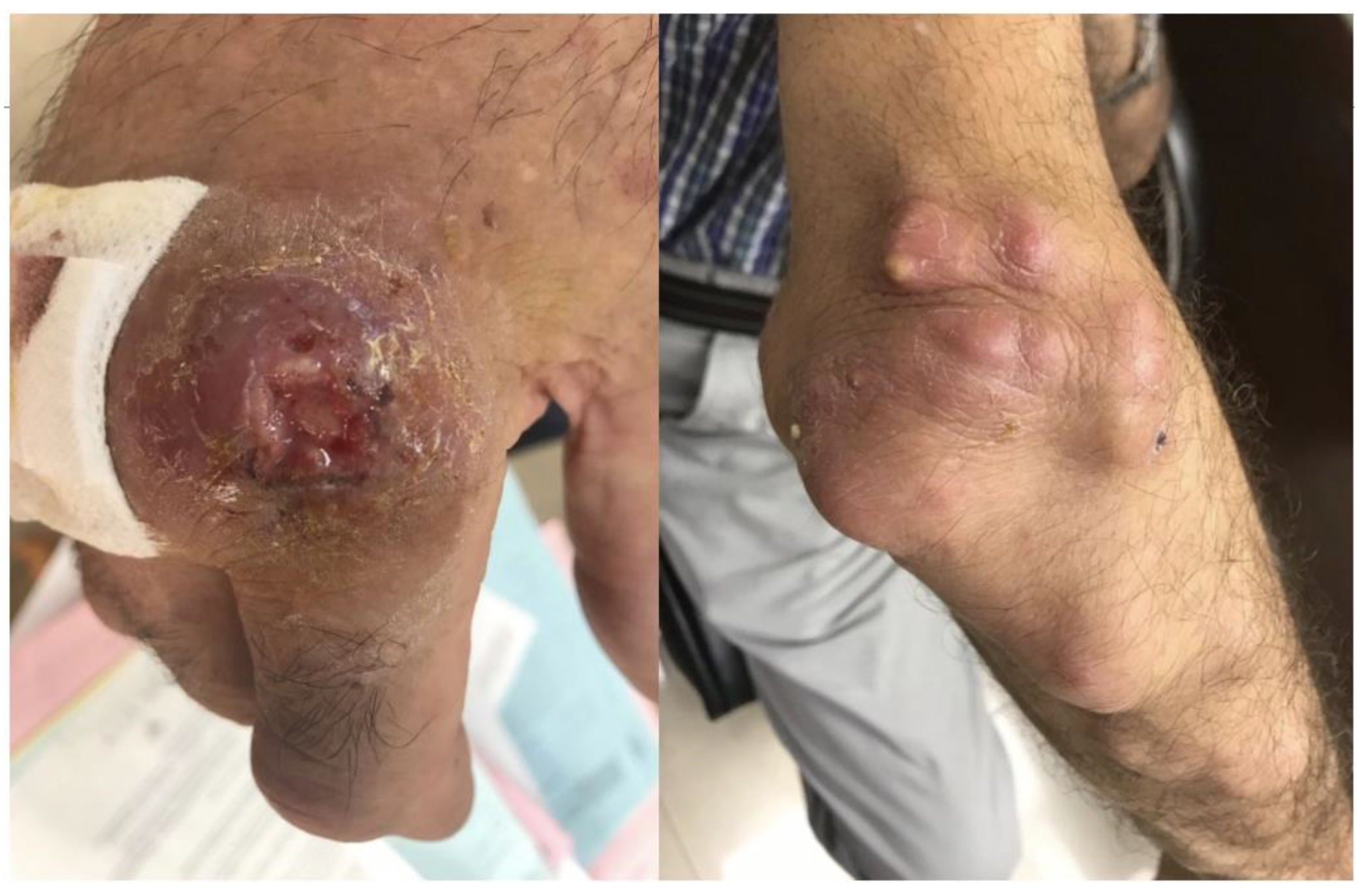 Microorganisms 11 01799 g001 Microorganisms 11 01799 g001