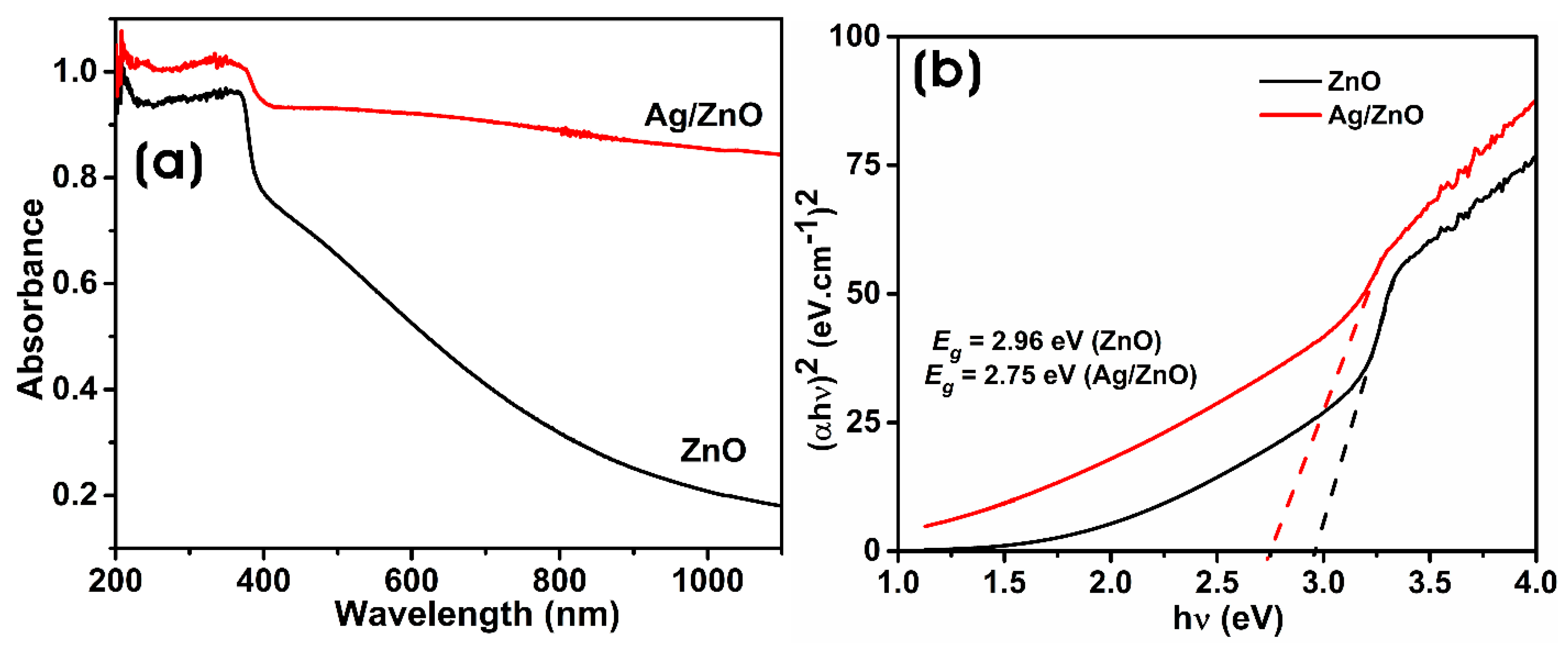 Microorganisms 11 01810 g002