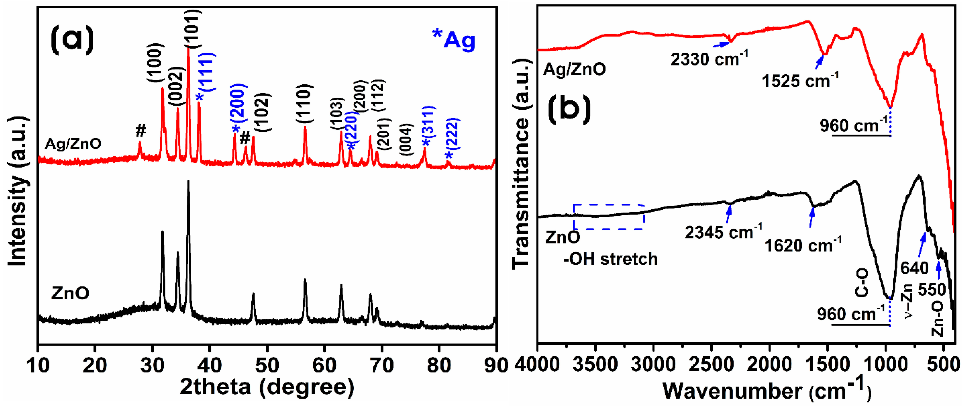 Microorganisms 11 01810 g003