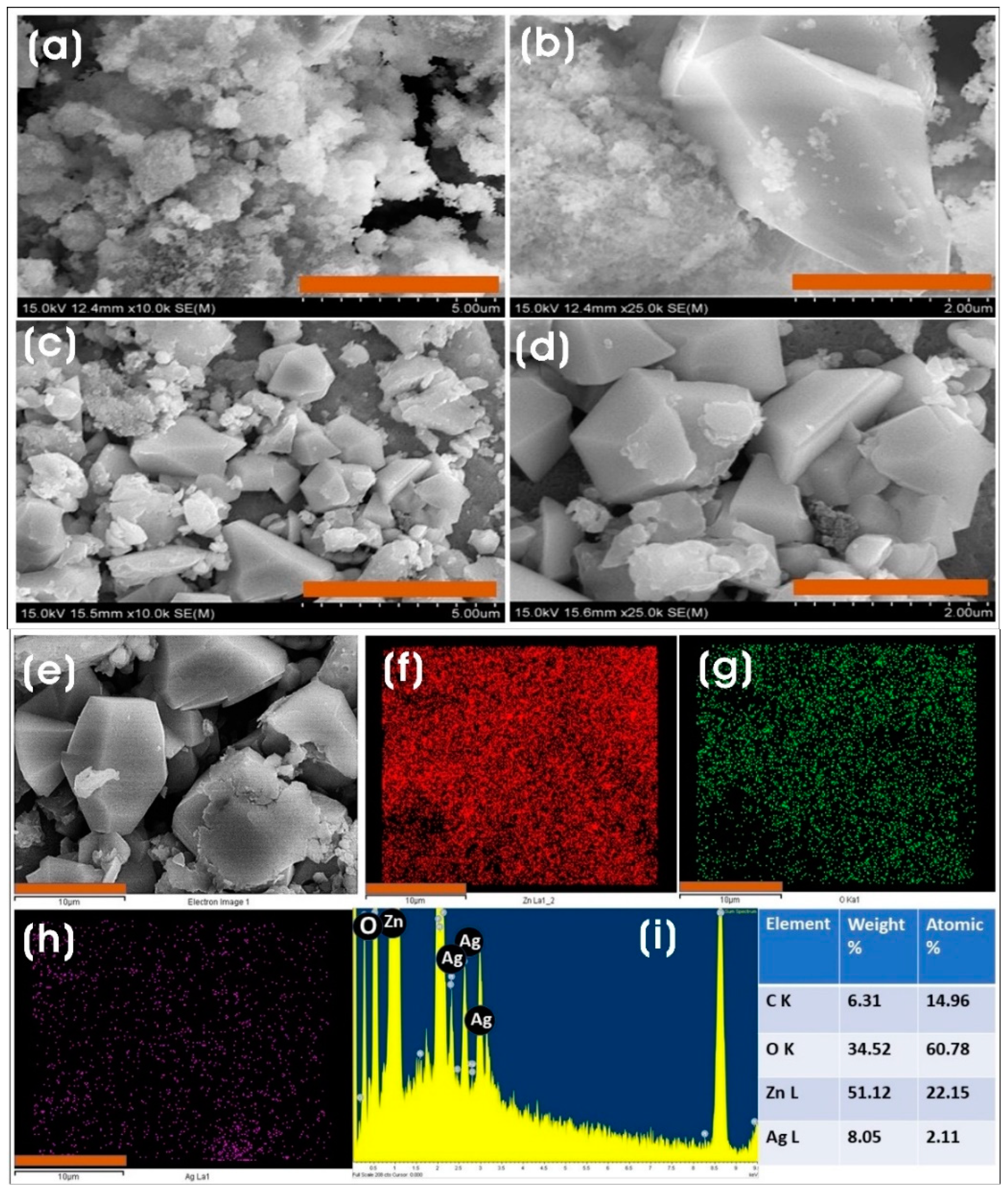 Microorganisms 11 01810 g004