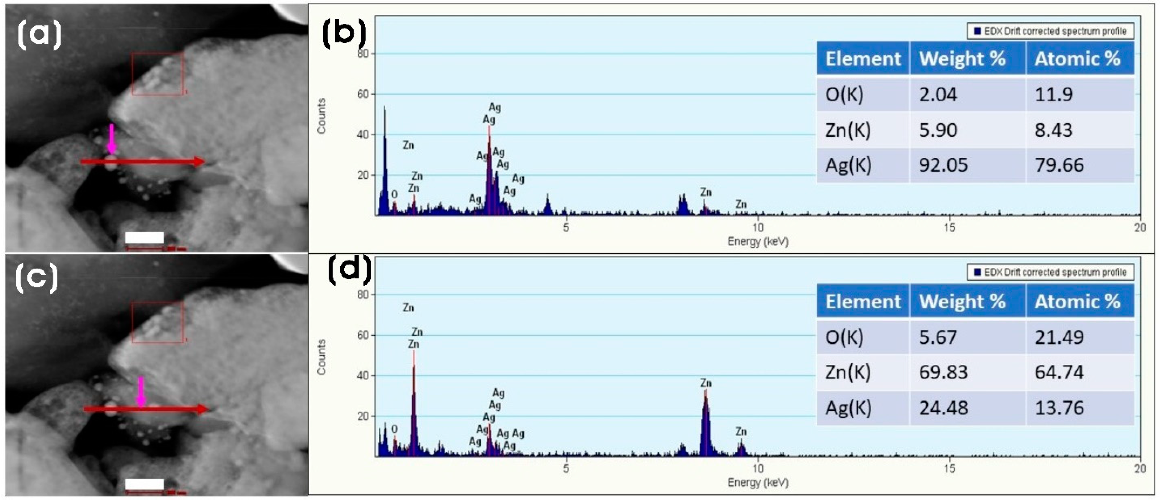 Microorganisms 11 01810 g006