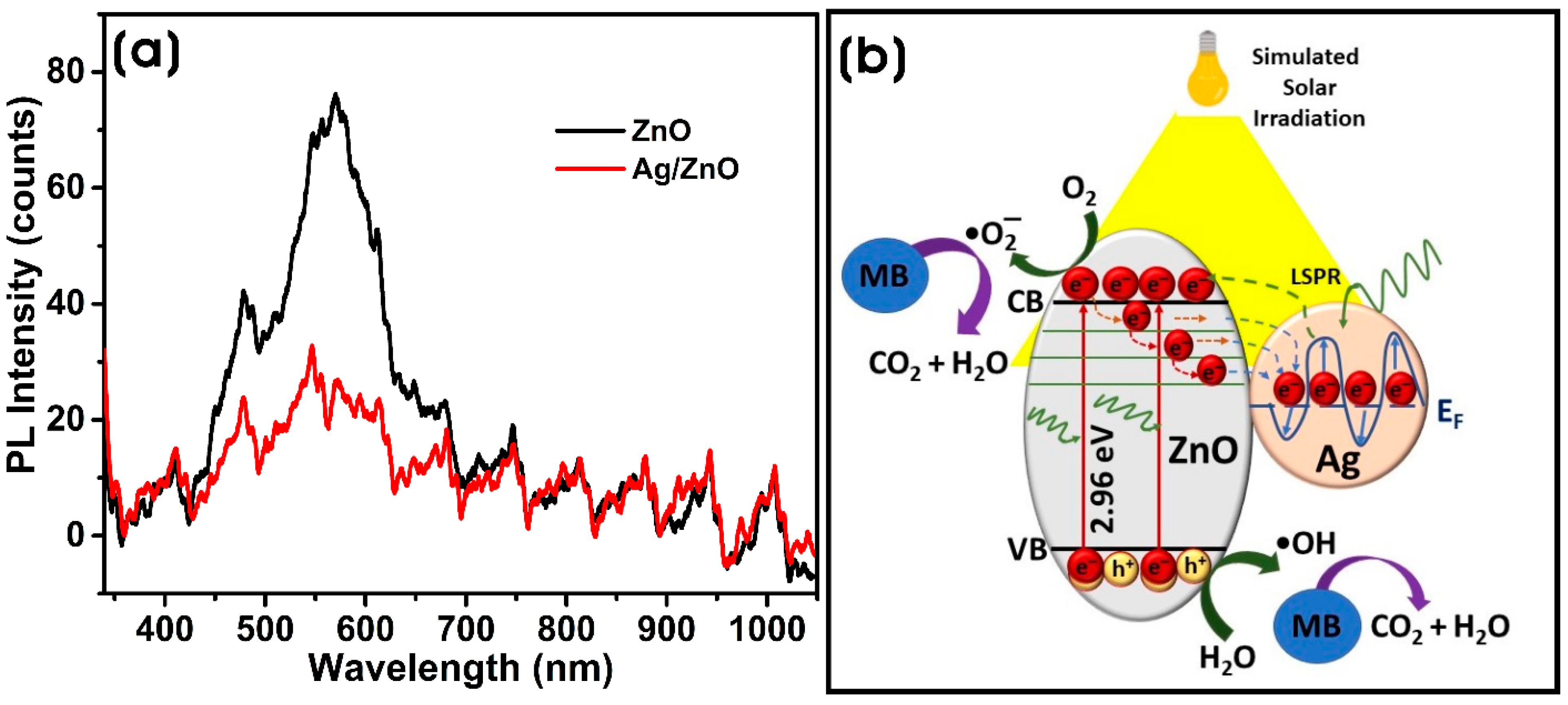 Microorganisms 11 01810 g007