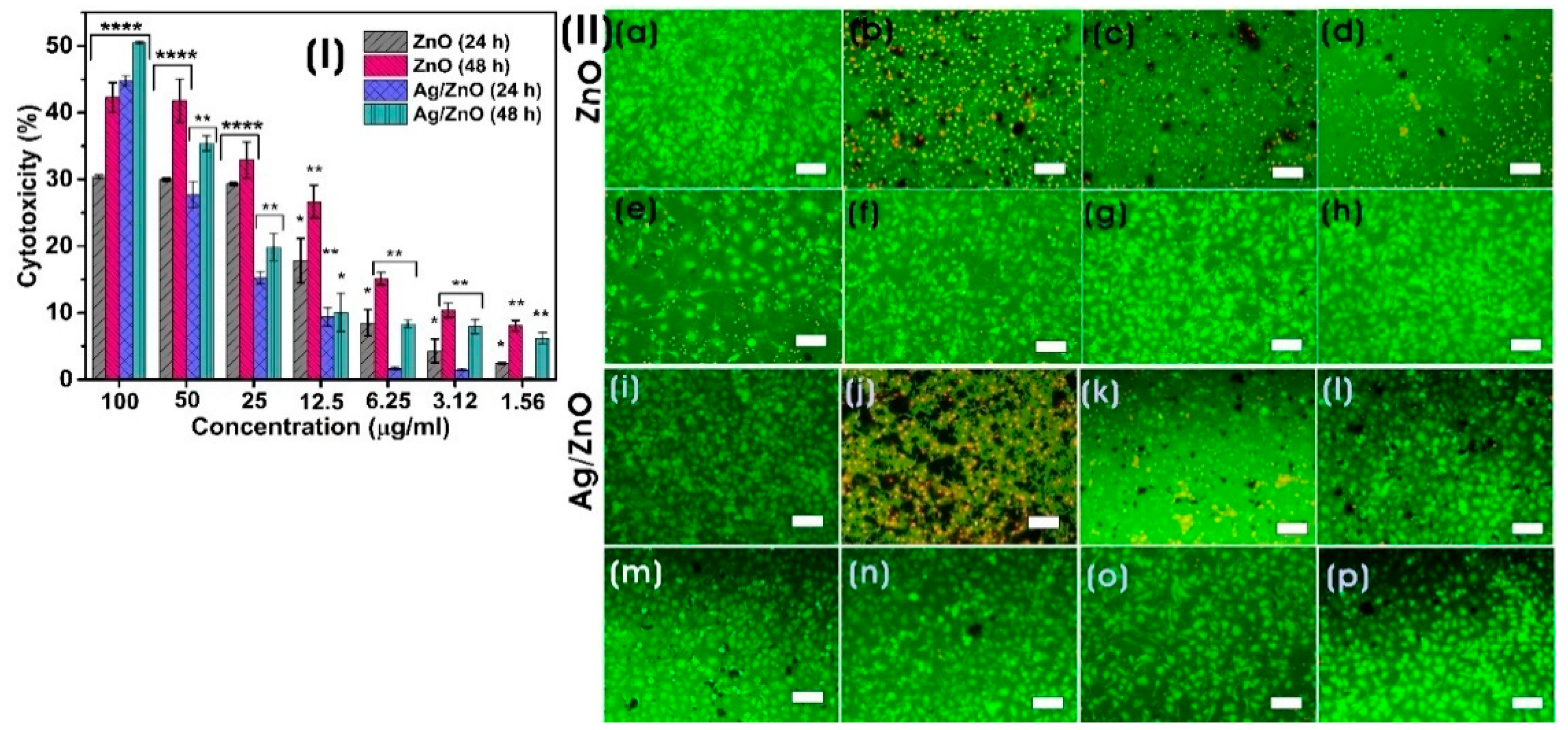 Microorganisms 11 01810 g010