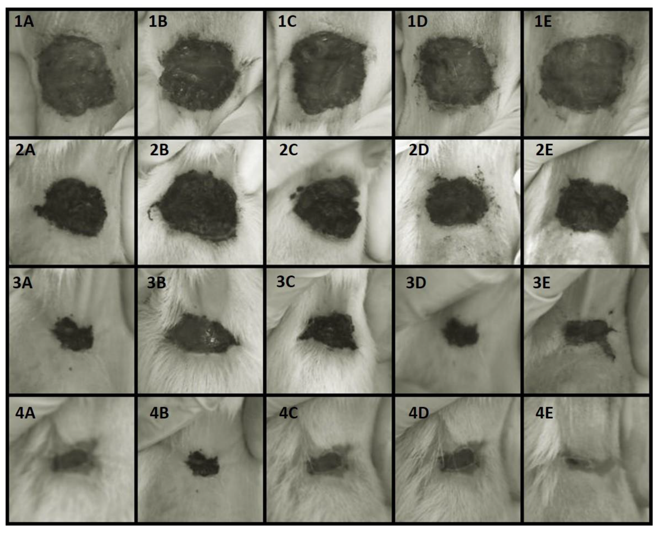 Microorganisms 11 01815 g003