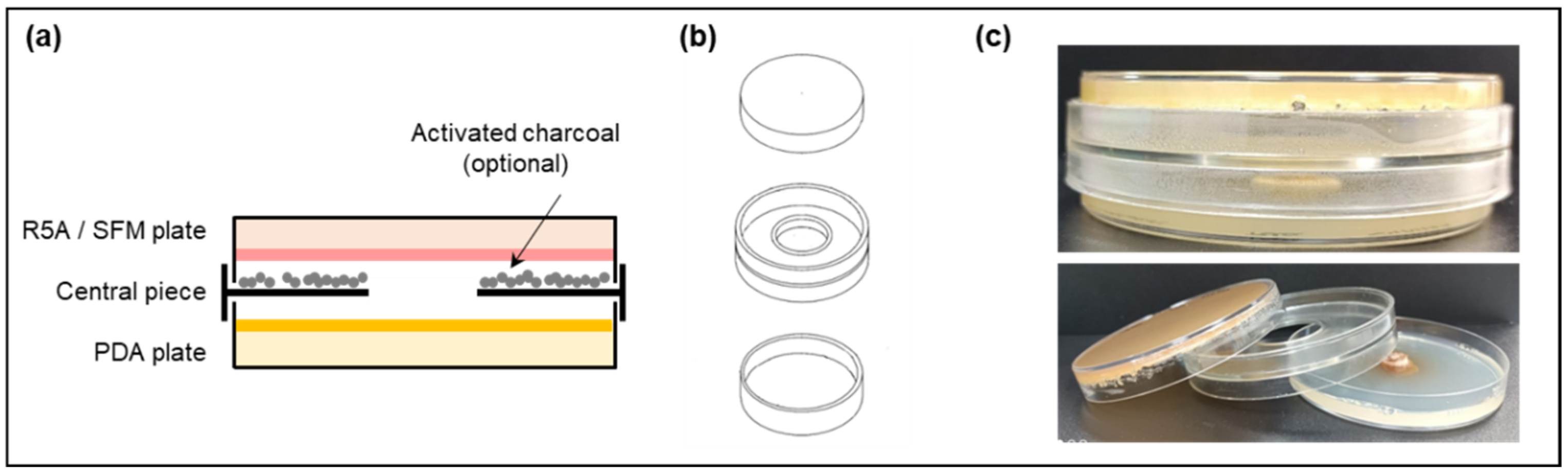 Microorganisms 11 01820 g001