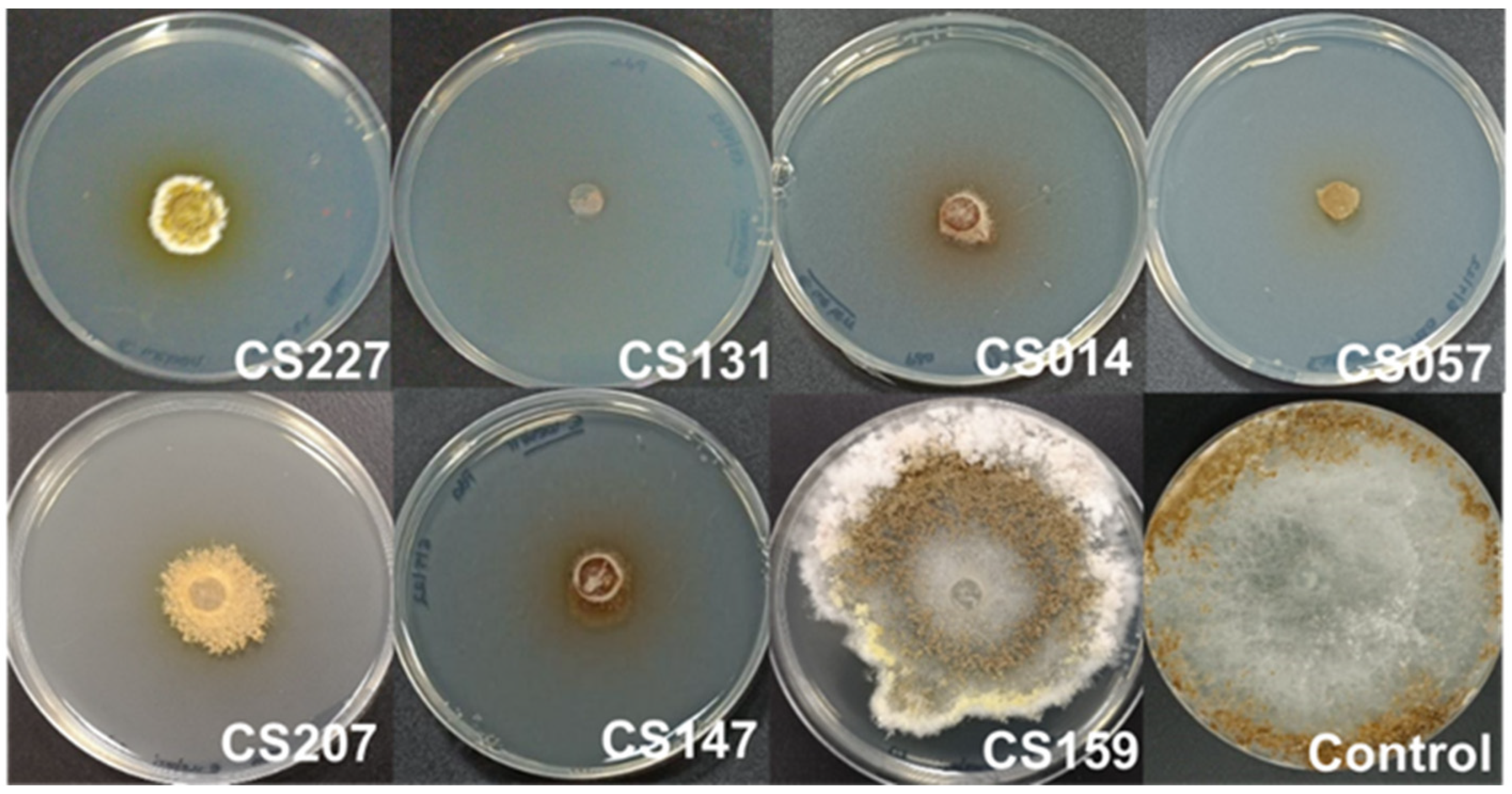 Microorganisms 11 01820 g002