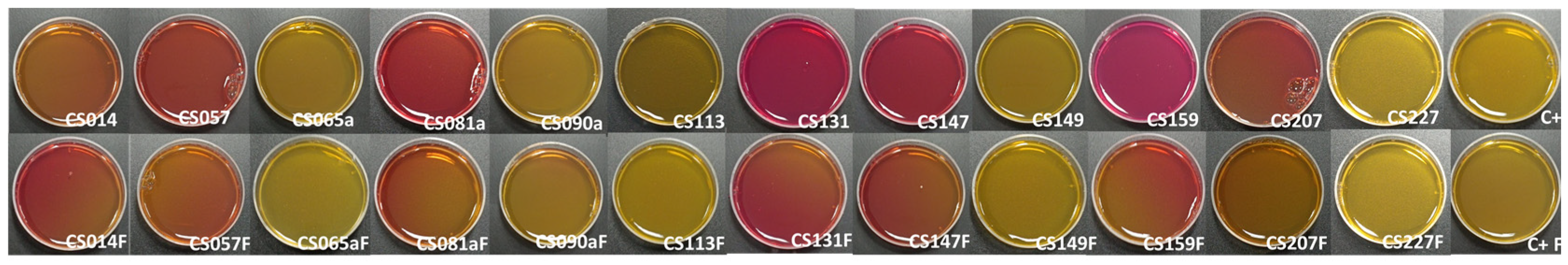 Microorganisms 11 01820 g011