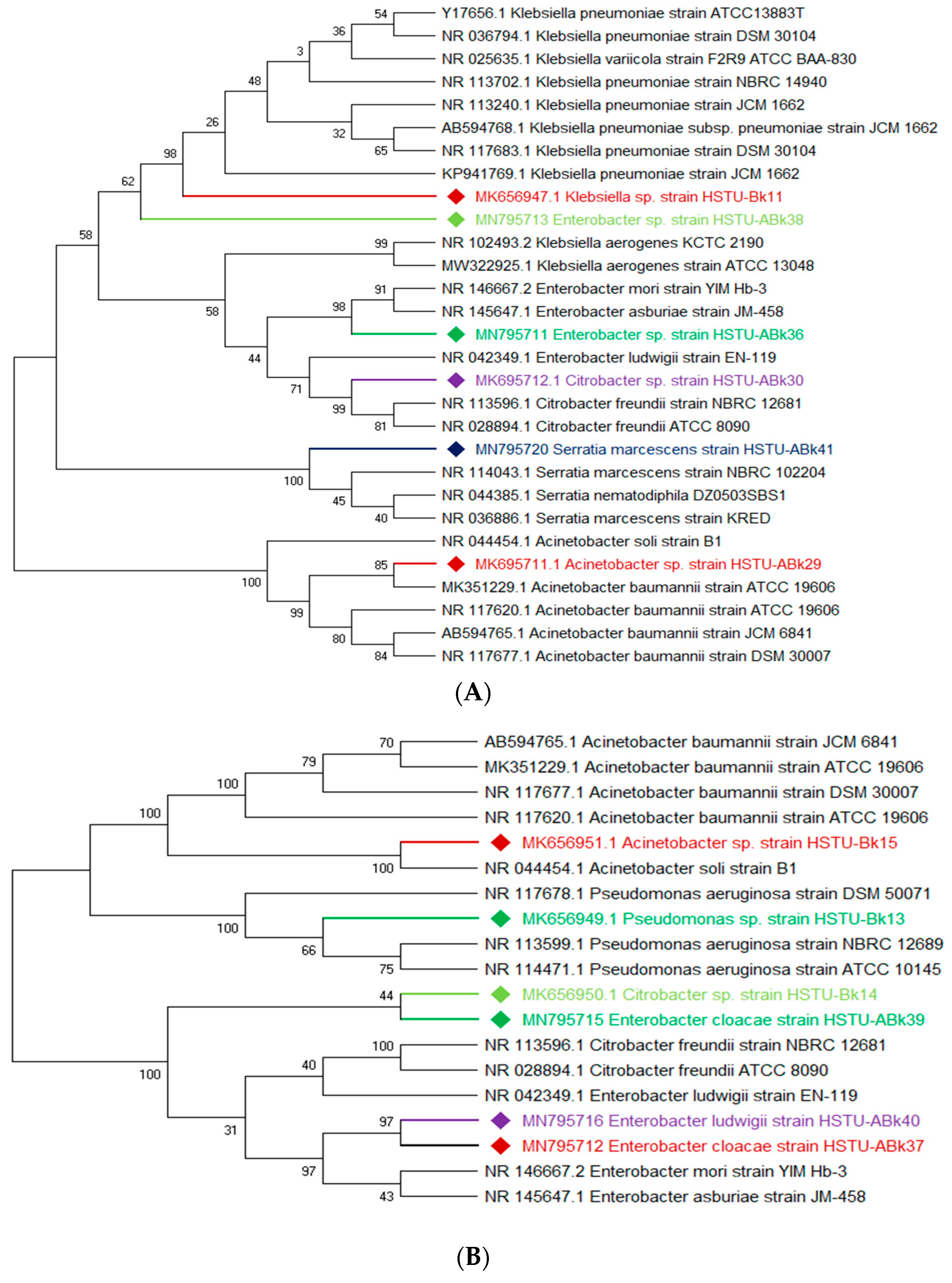 Microorganisms 11 01821 g002a