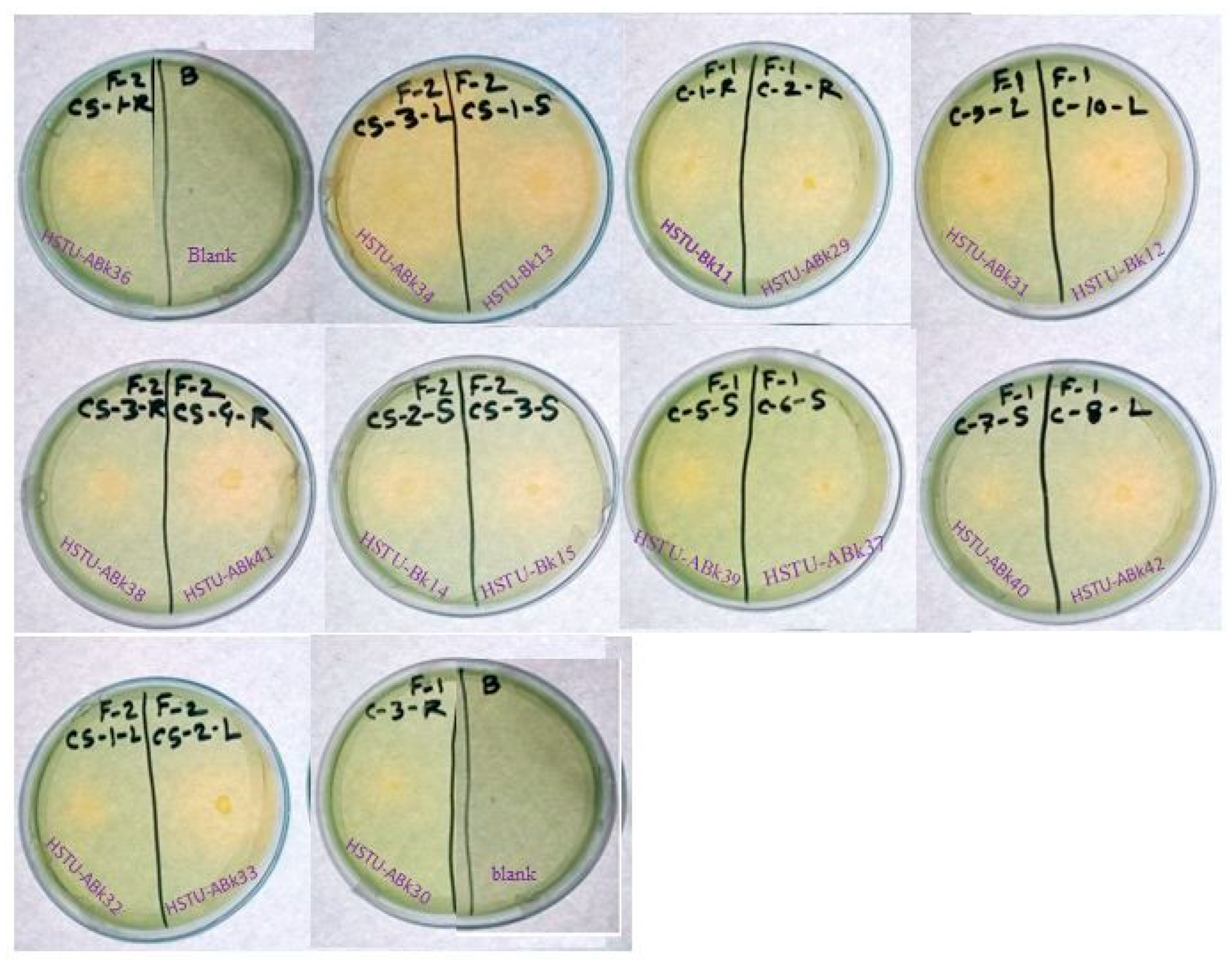 Microorganisms 11 01821 g004