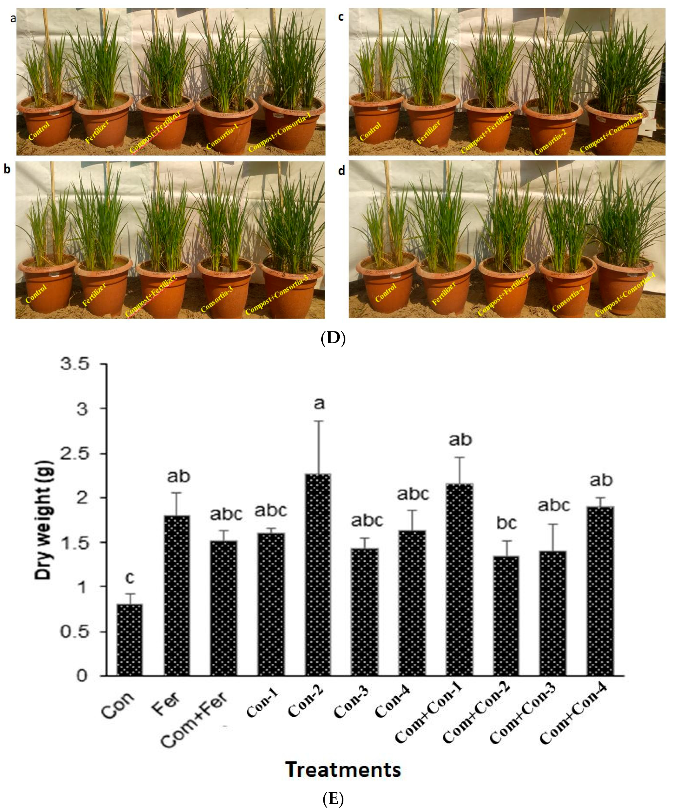 Microorganisms 11 01821 g006b