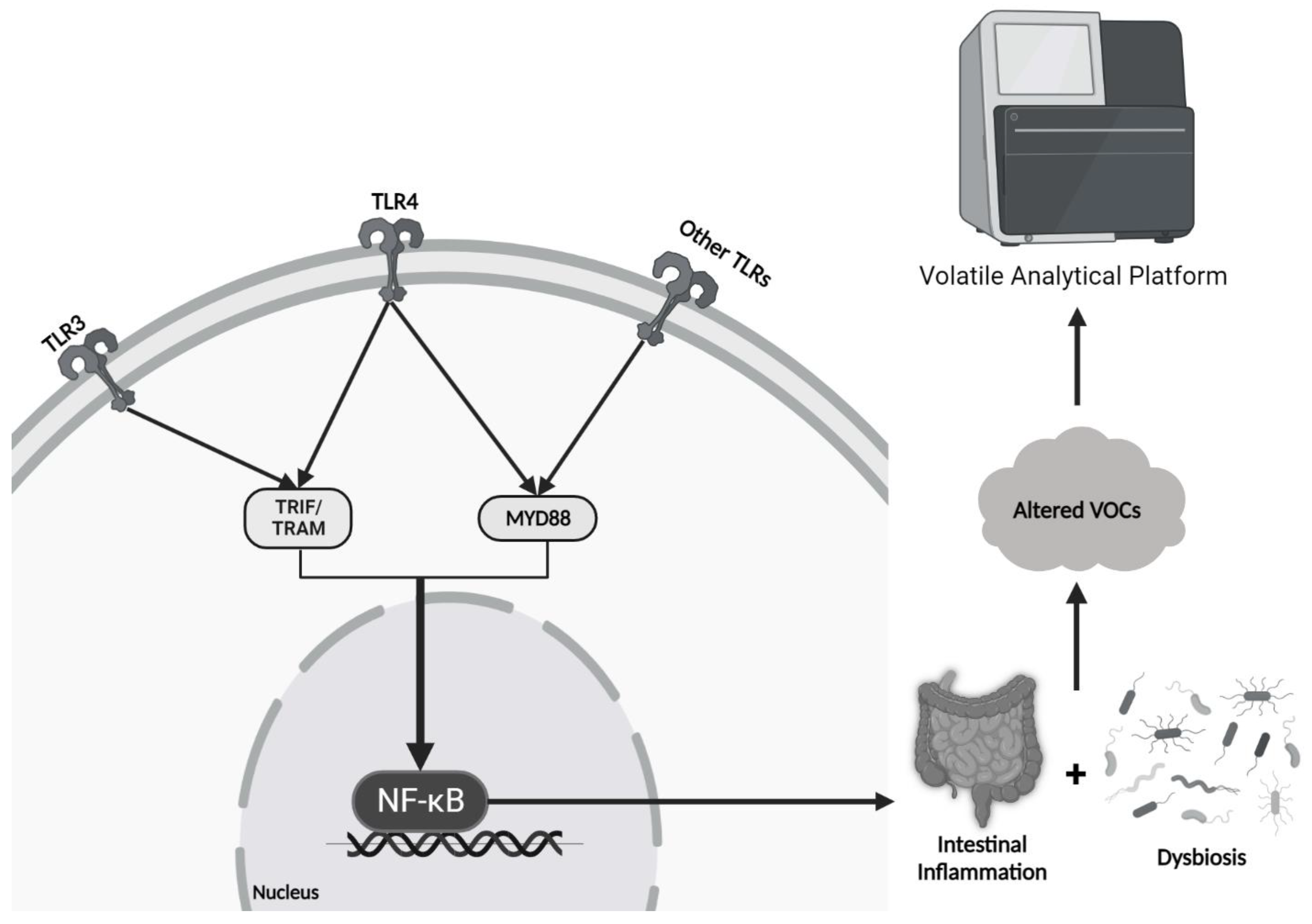 Microorganisms 11 01822 g001