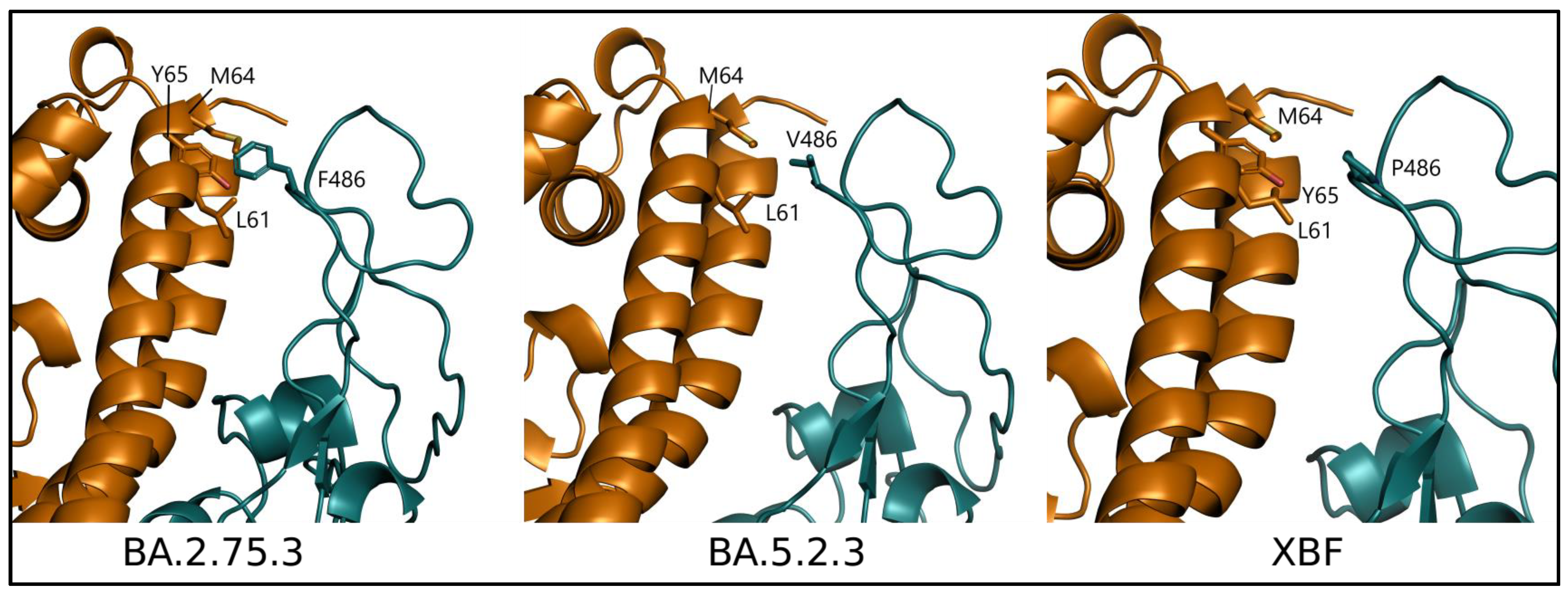 Microorganisms 11 01824 g006